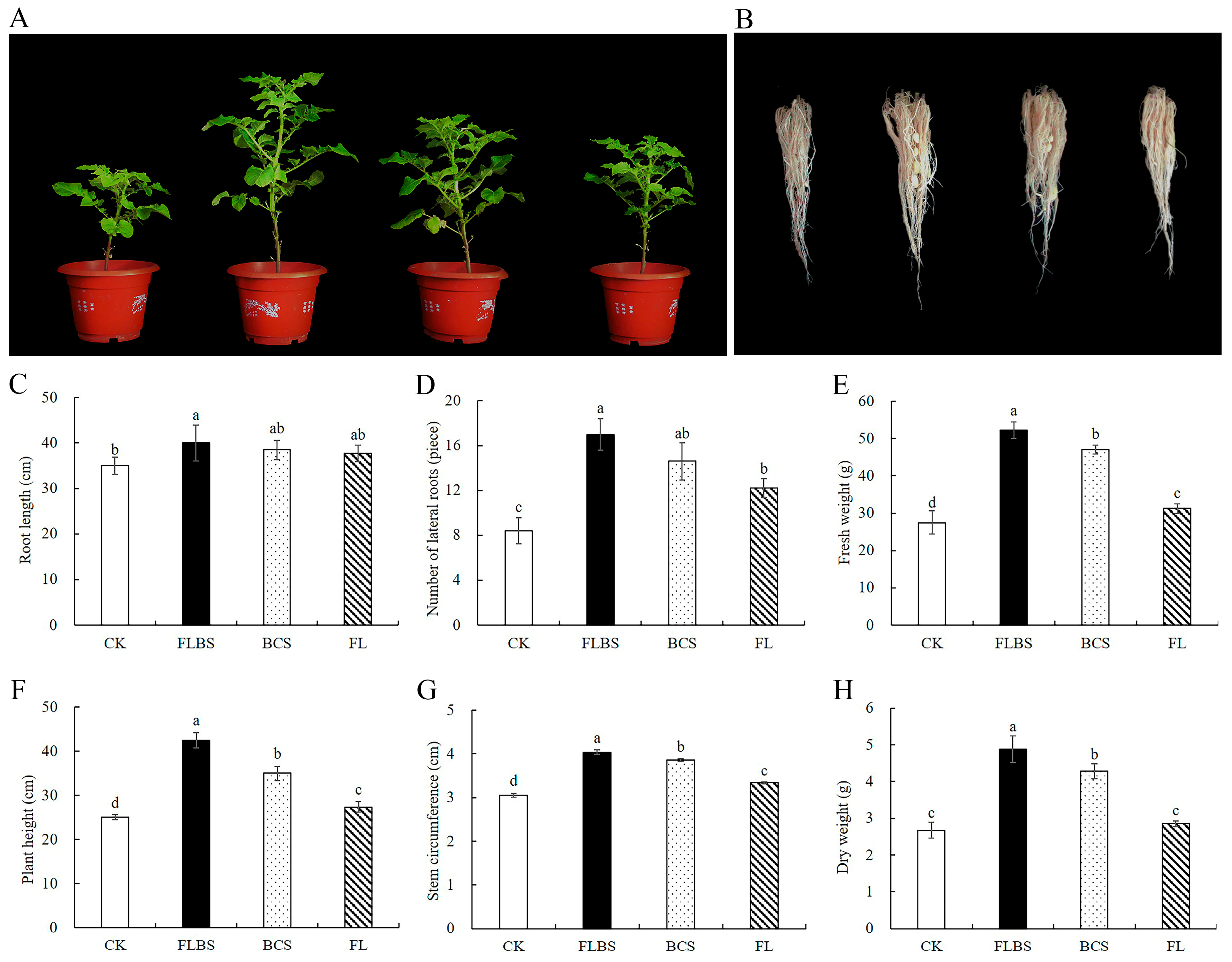 Biology 12 00856 g004 Biology 12 00856 g004