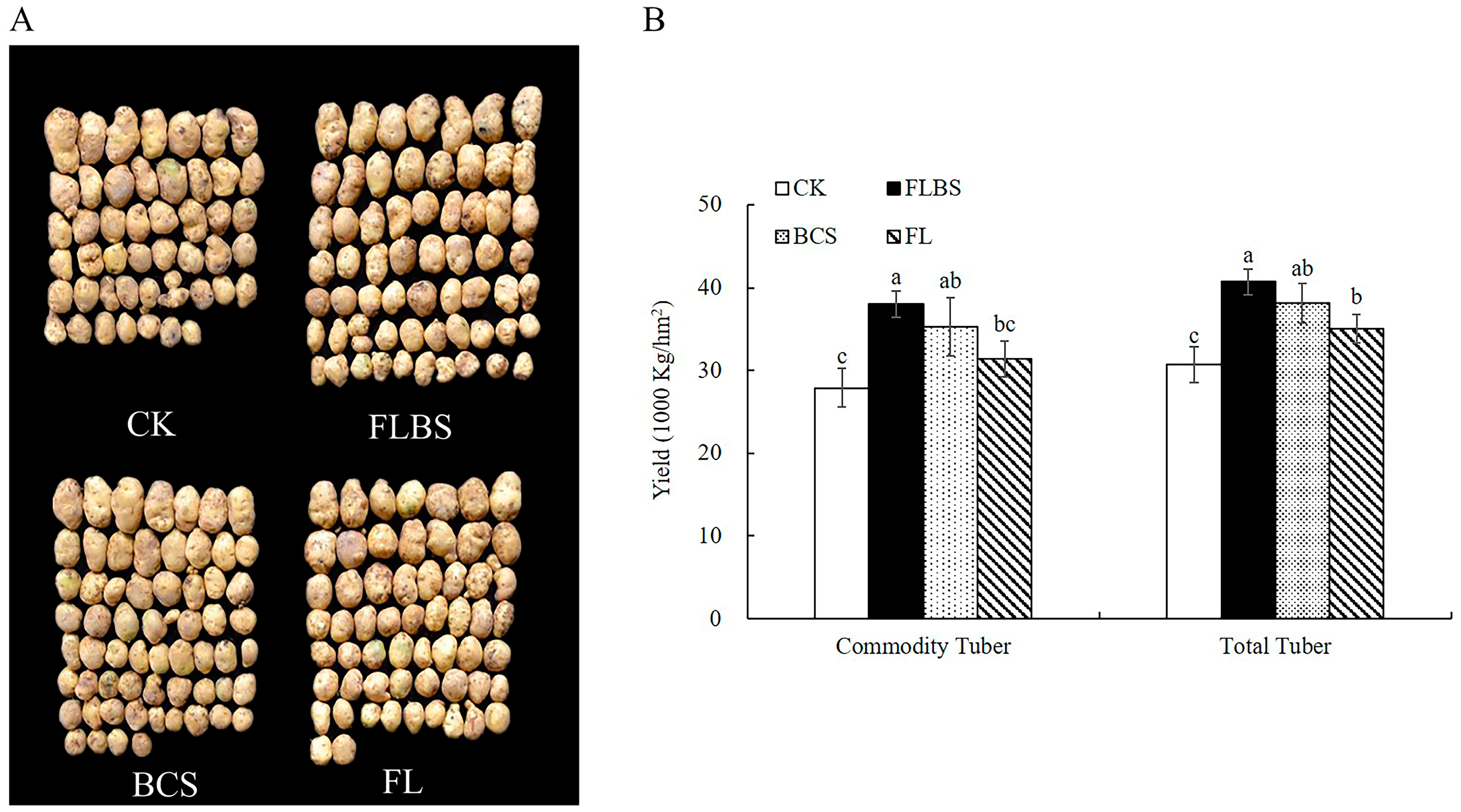 Biology 12 00856 g005 Biology 12 00856 g005