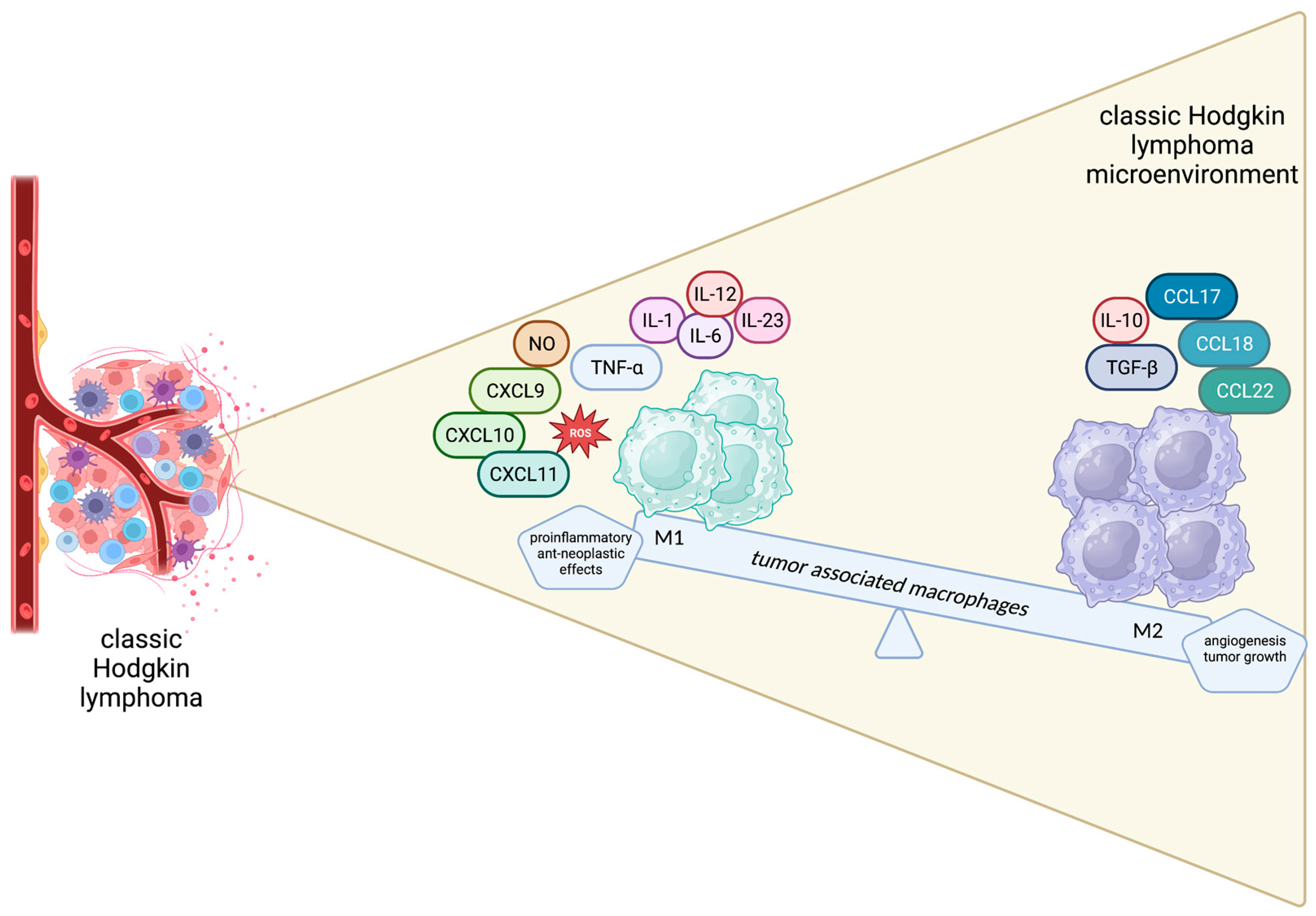 Biology 12 00862 g002 Biology 12 00862 g002