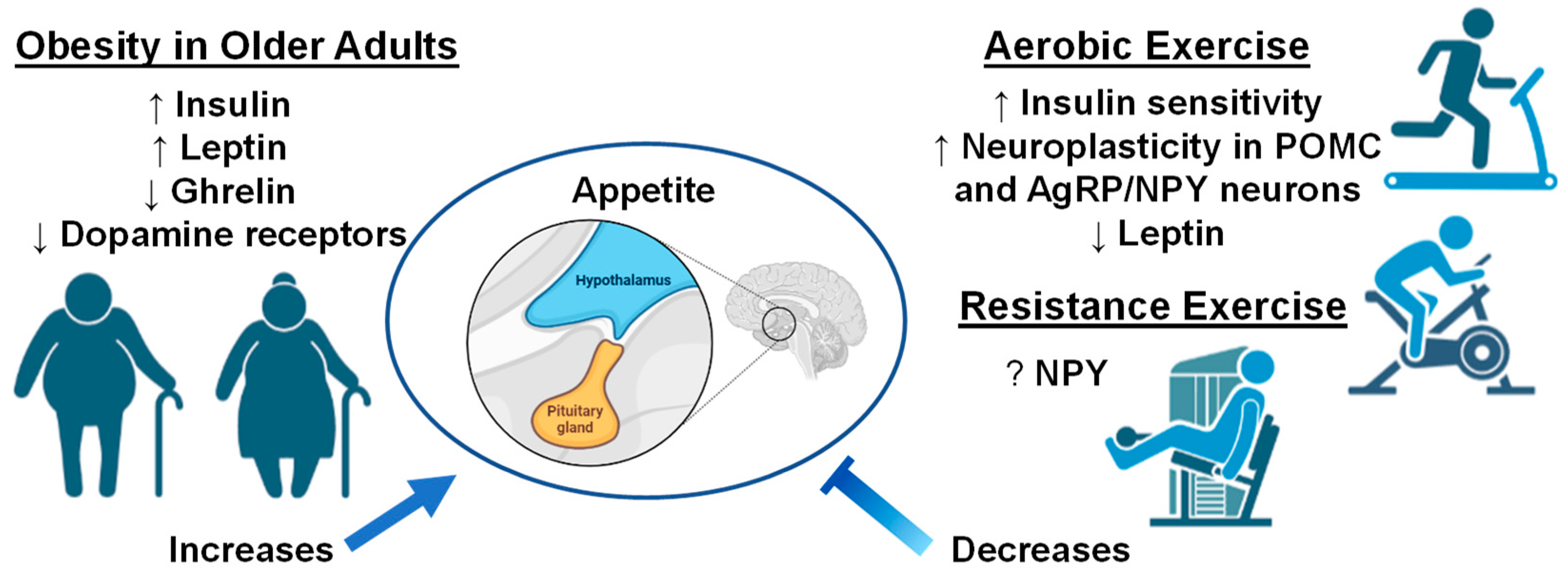 Effects of hotsell aerobic exercise