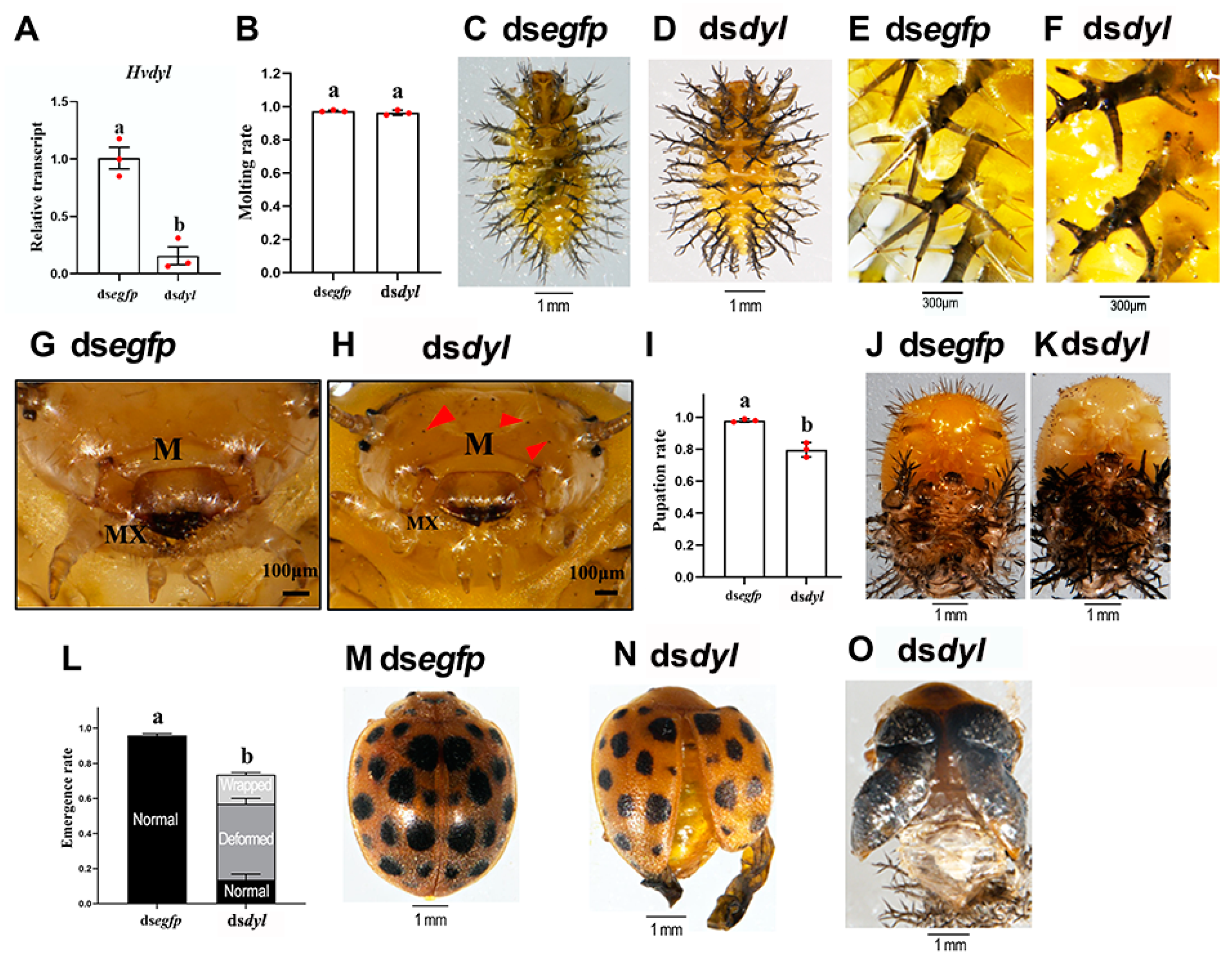 Biology 12 00866 g003 Biology 12 00866 g003