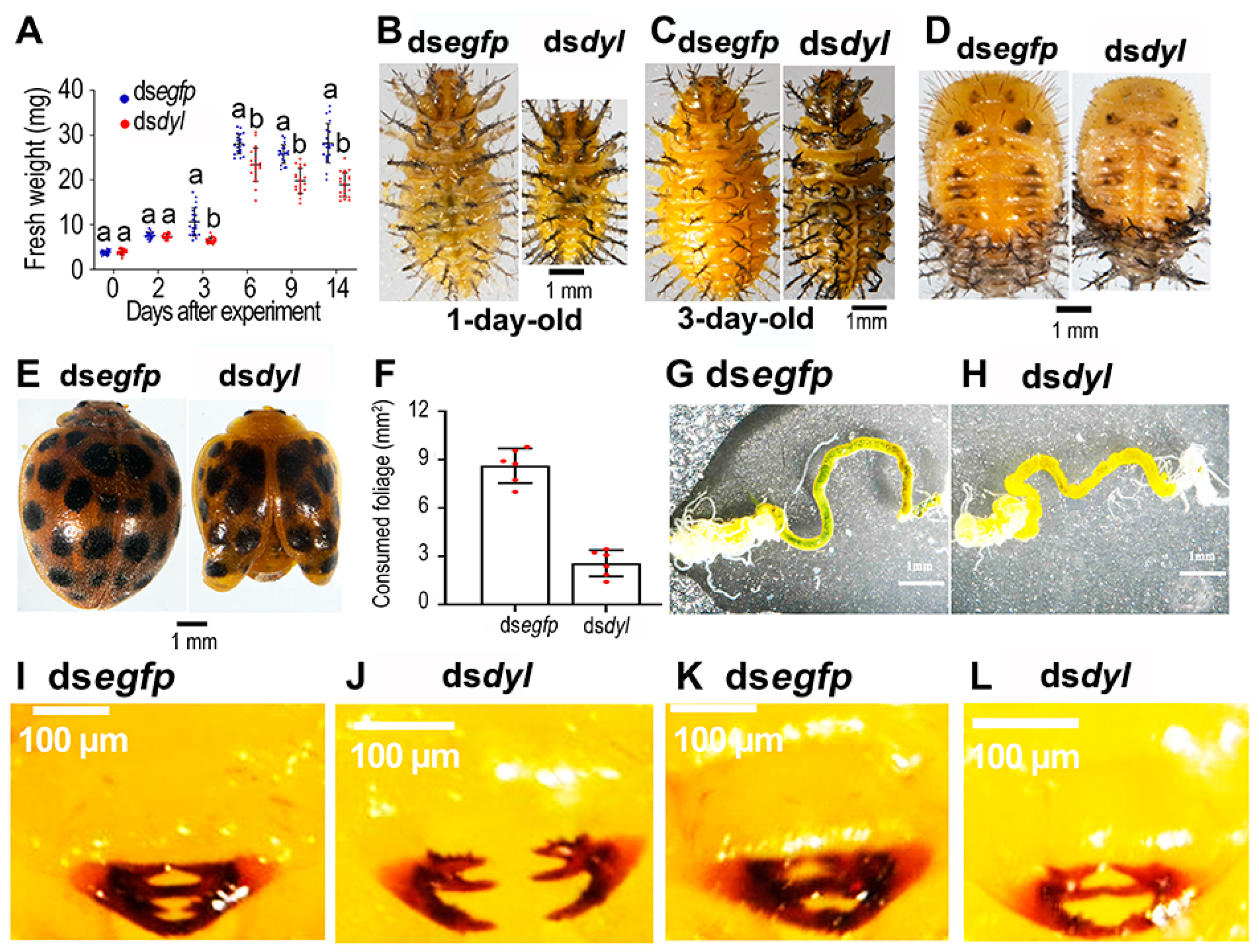 Biology 12 00866 g004 Biology 12 00866 g004