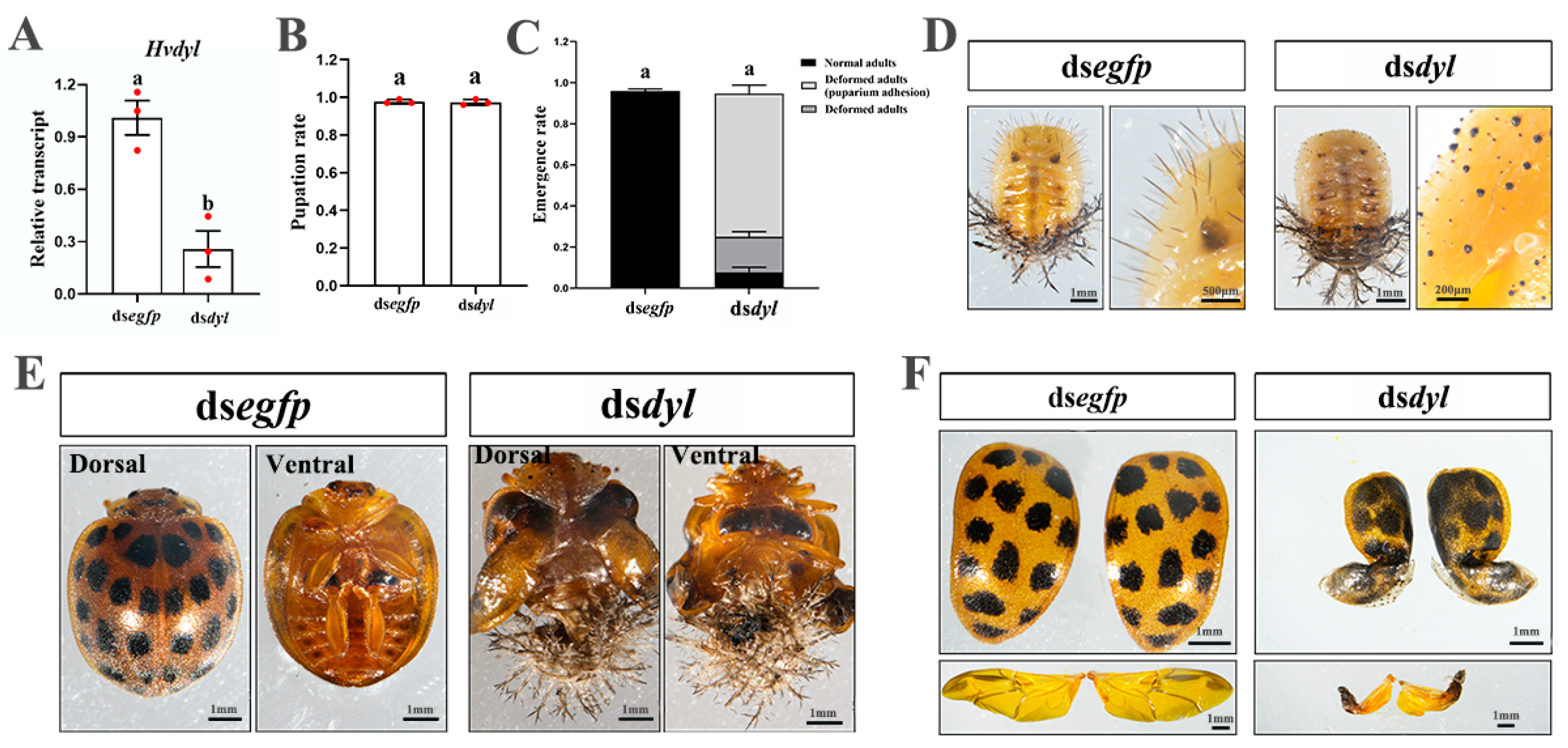 Biology 12 00866 g005 Biology 12 00866 g005