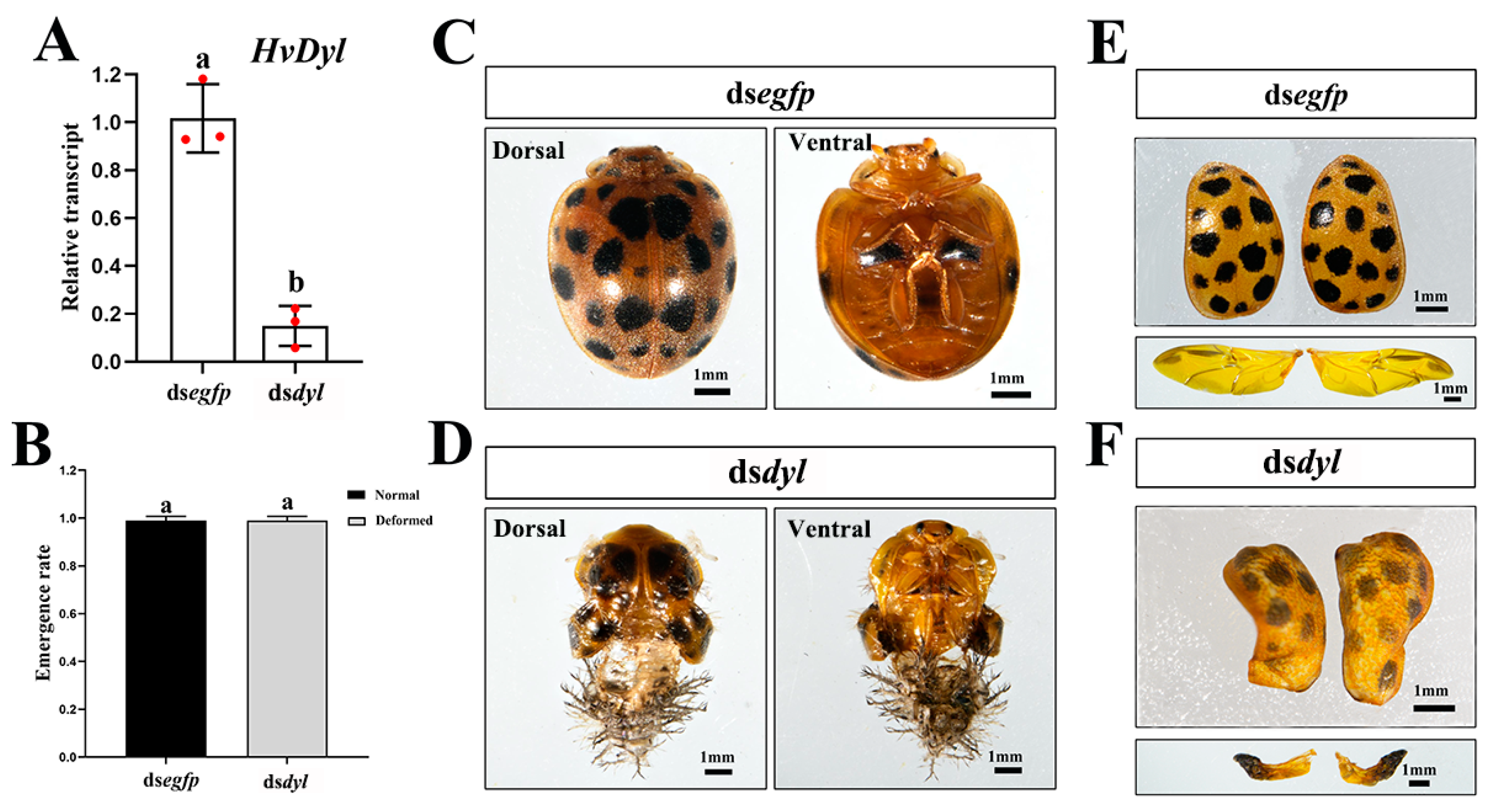 Biology 12 00866 g006 Biology 12 00866 g006