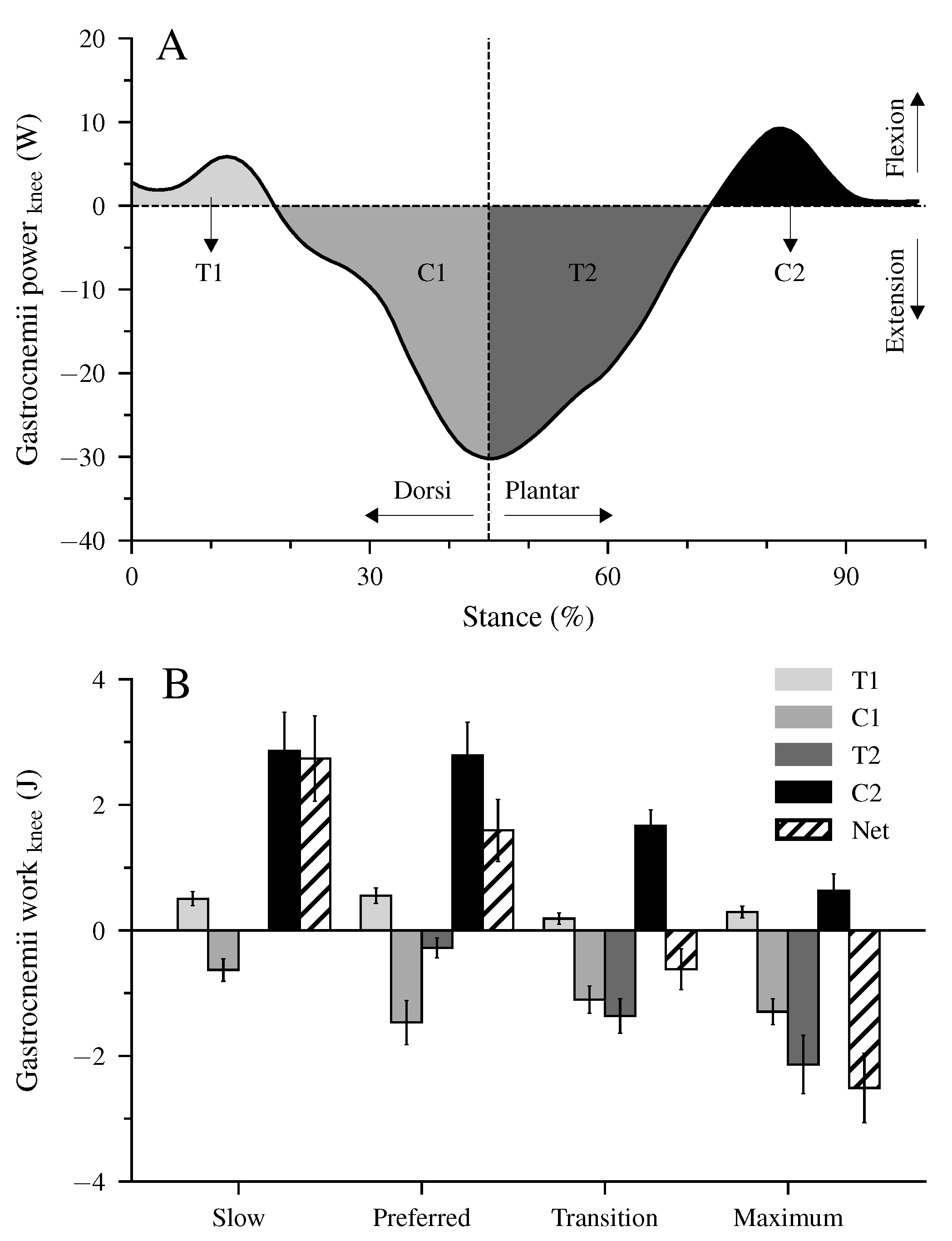 Biology 12 00872 g005 Biology 12 00872 g005