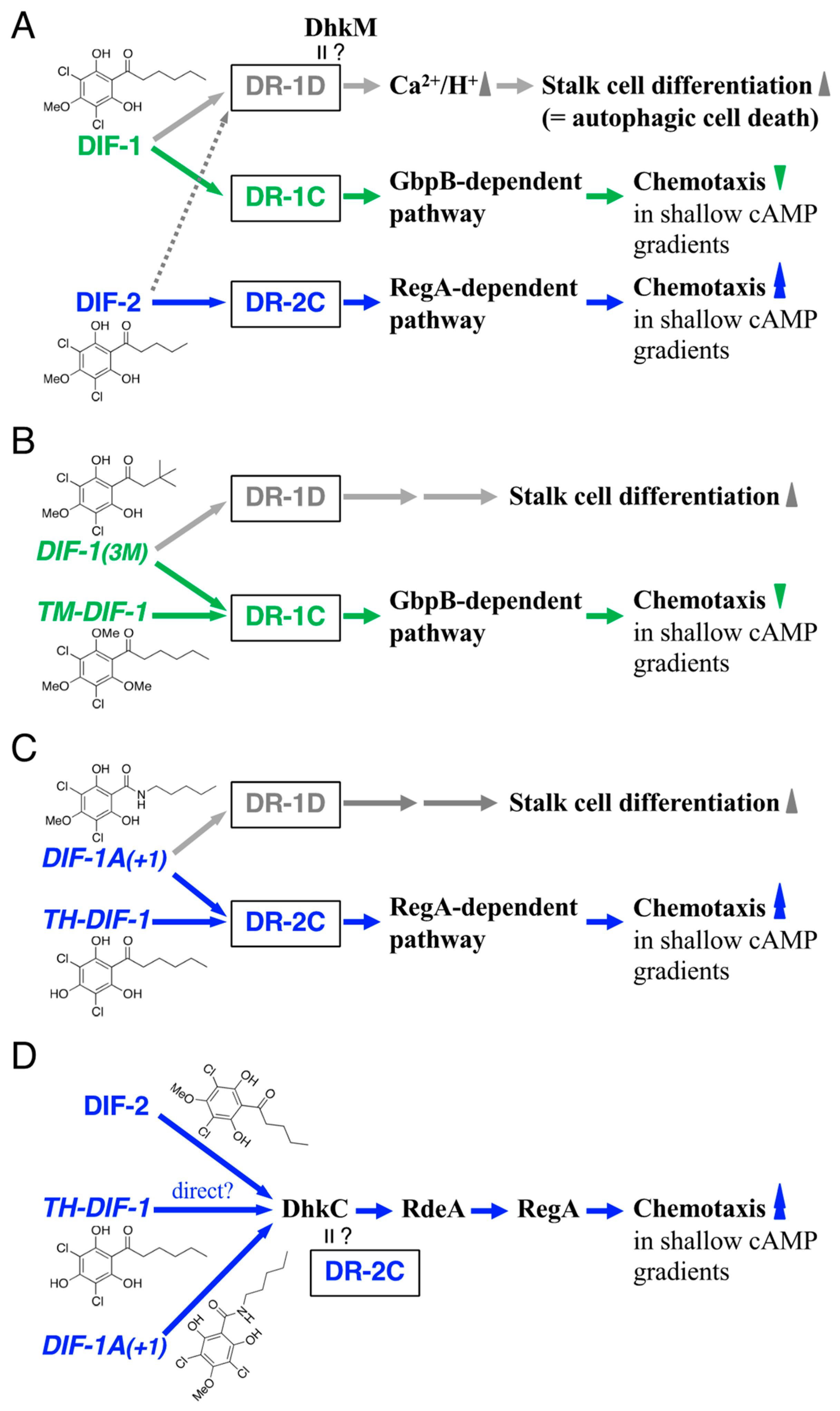 Biology 12 00873 g006 Biology 12 00873 g006