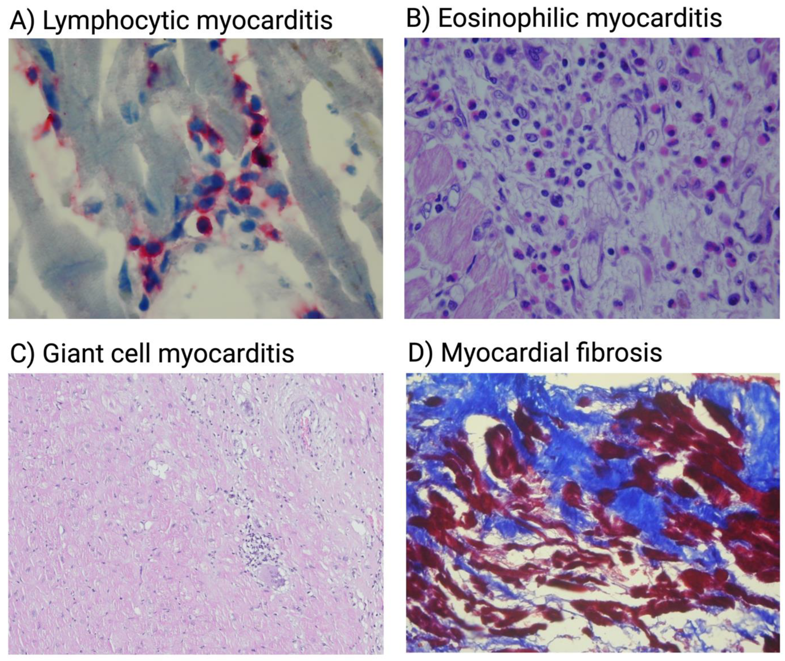 Biology 12 00874 g002