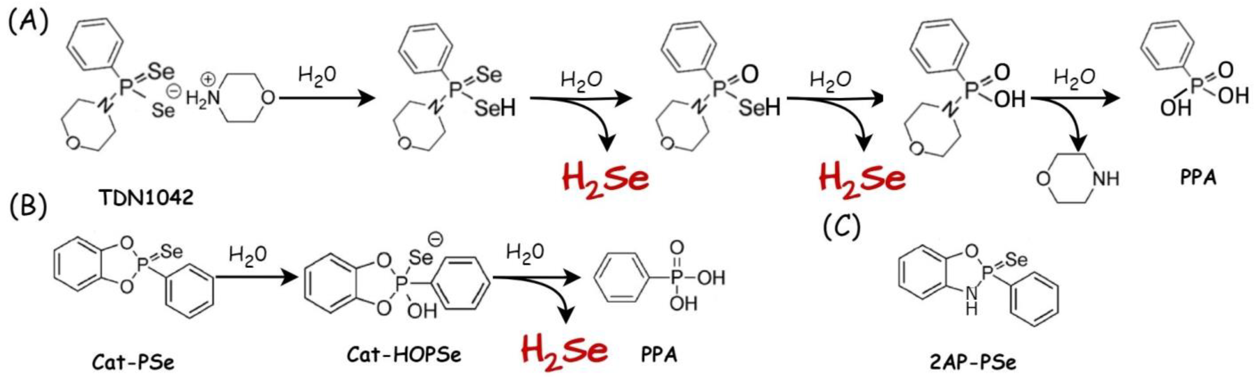 Biology 12 00875 g005 Biology 12 00875 g005