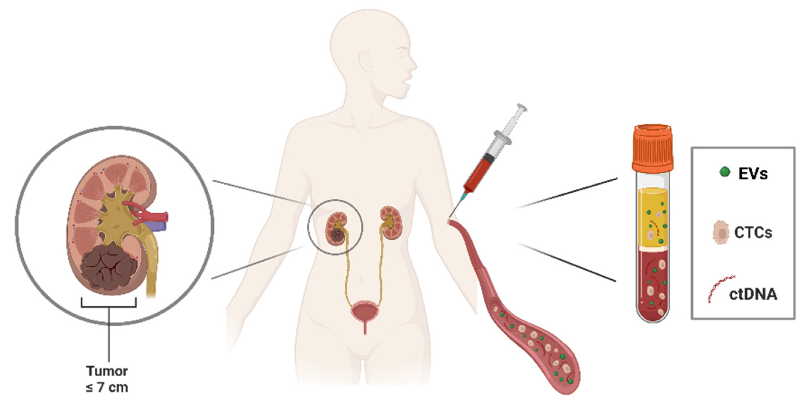 Biology 12 00877 g001