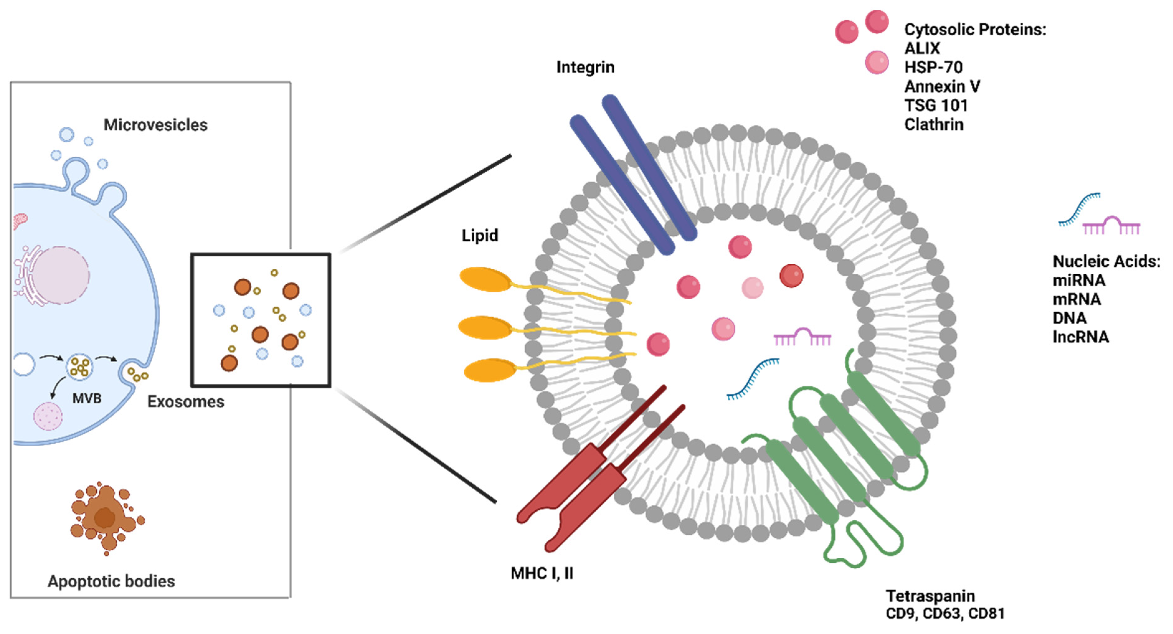 Biology 12 00877 g002