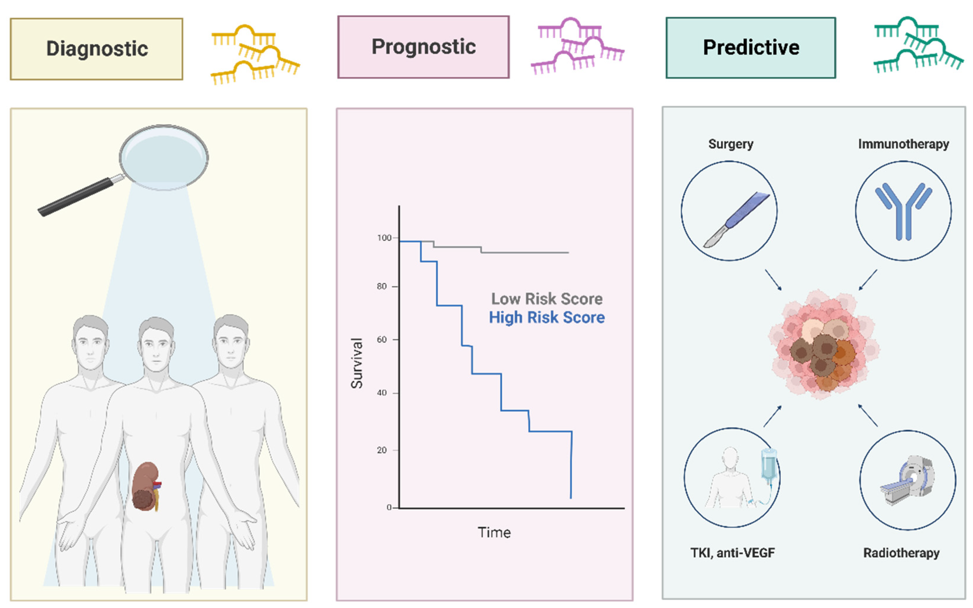 Biology 12 00877 g003