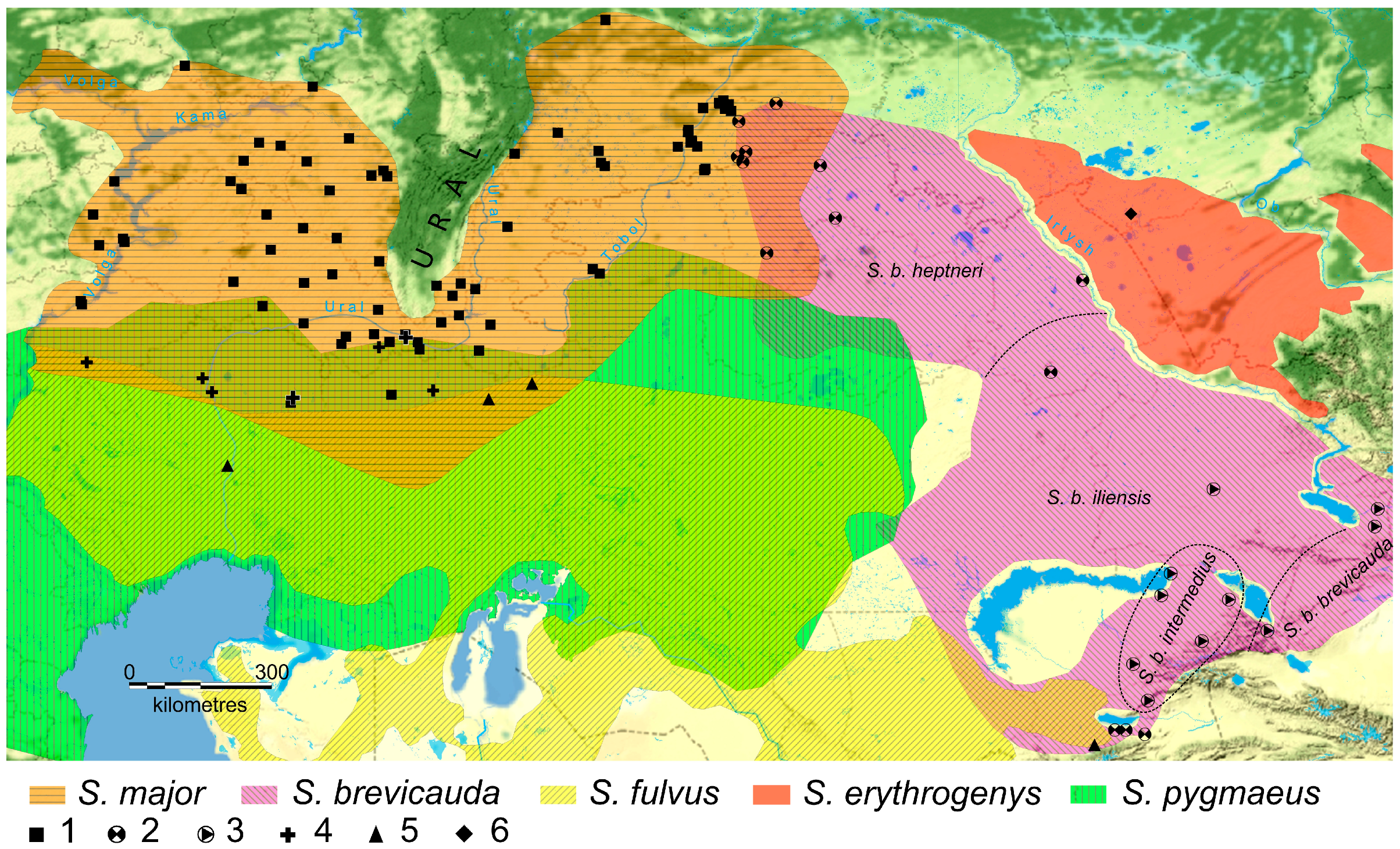 Biology 12 00880 g001 Biology 12 00880 g001