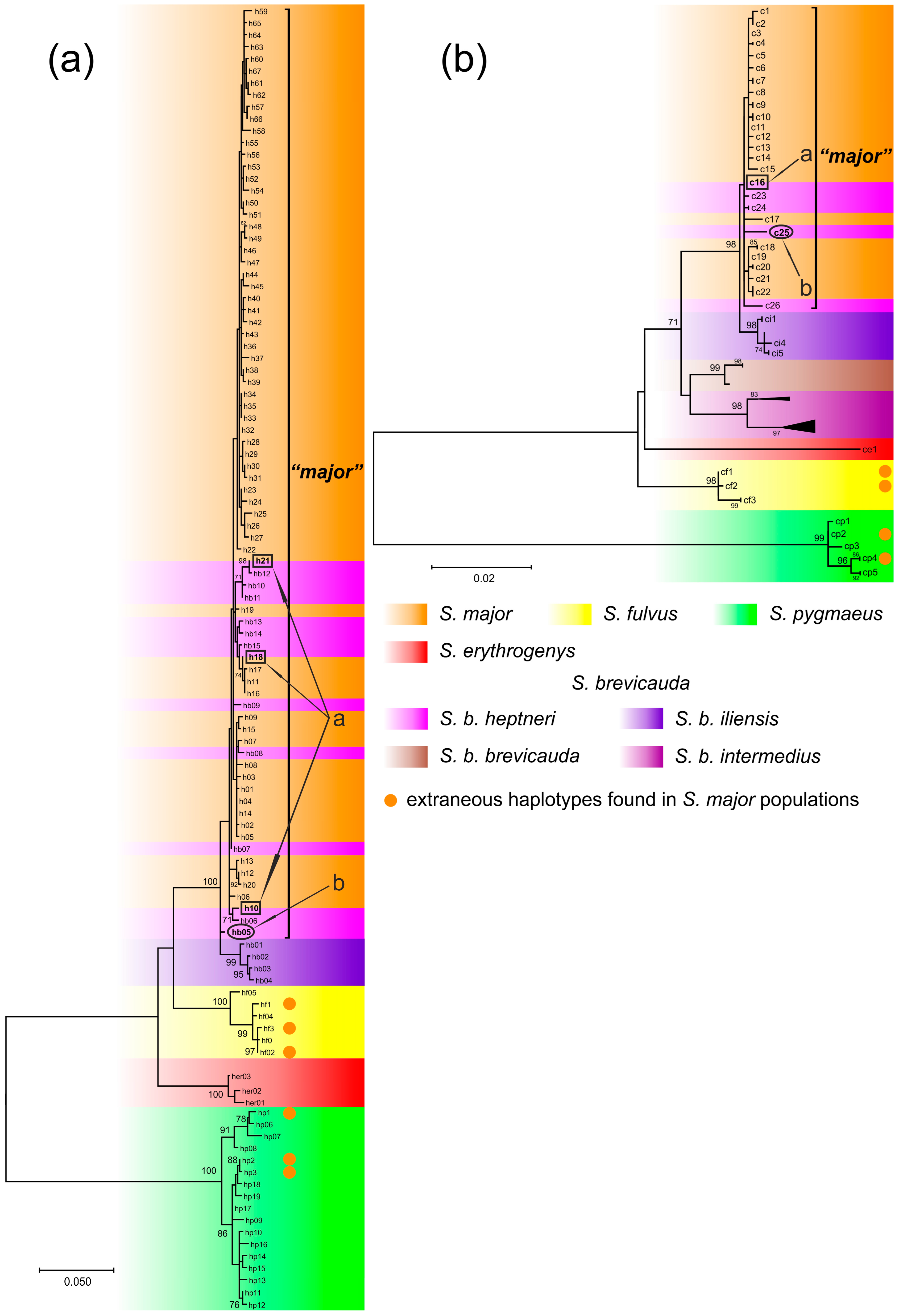 Biology 12 00880 g003 Biology 12 00880 g003