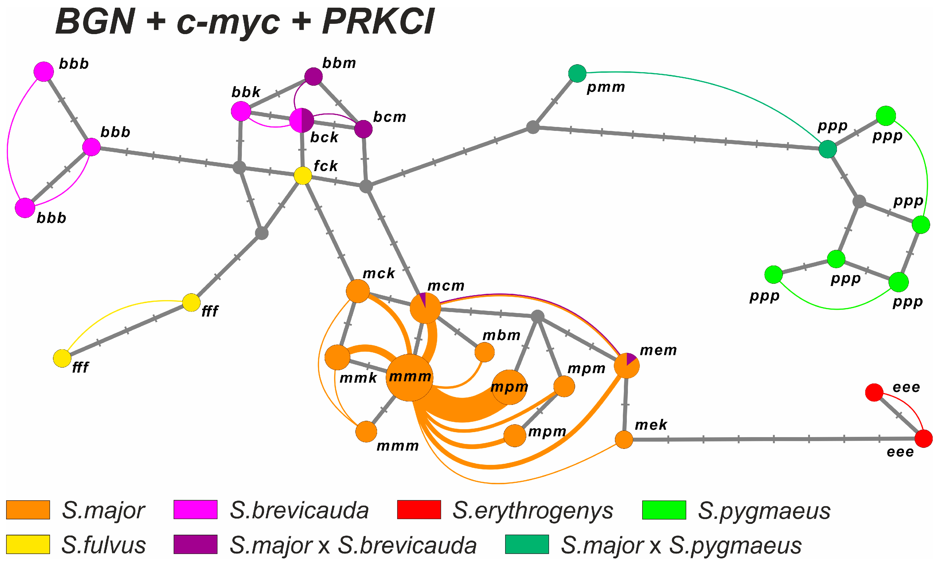 Biology 12 00880 g006 Biology 12 00880 g006
