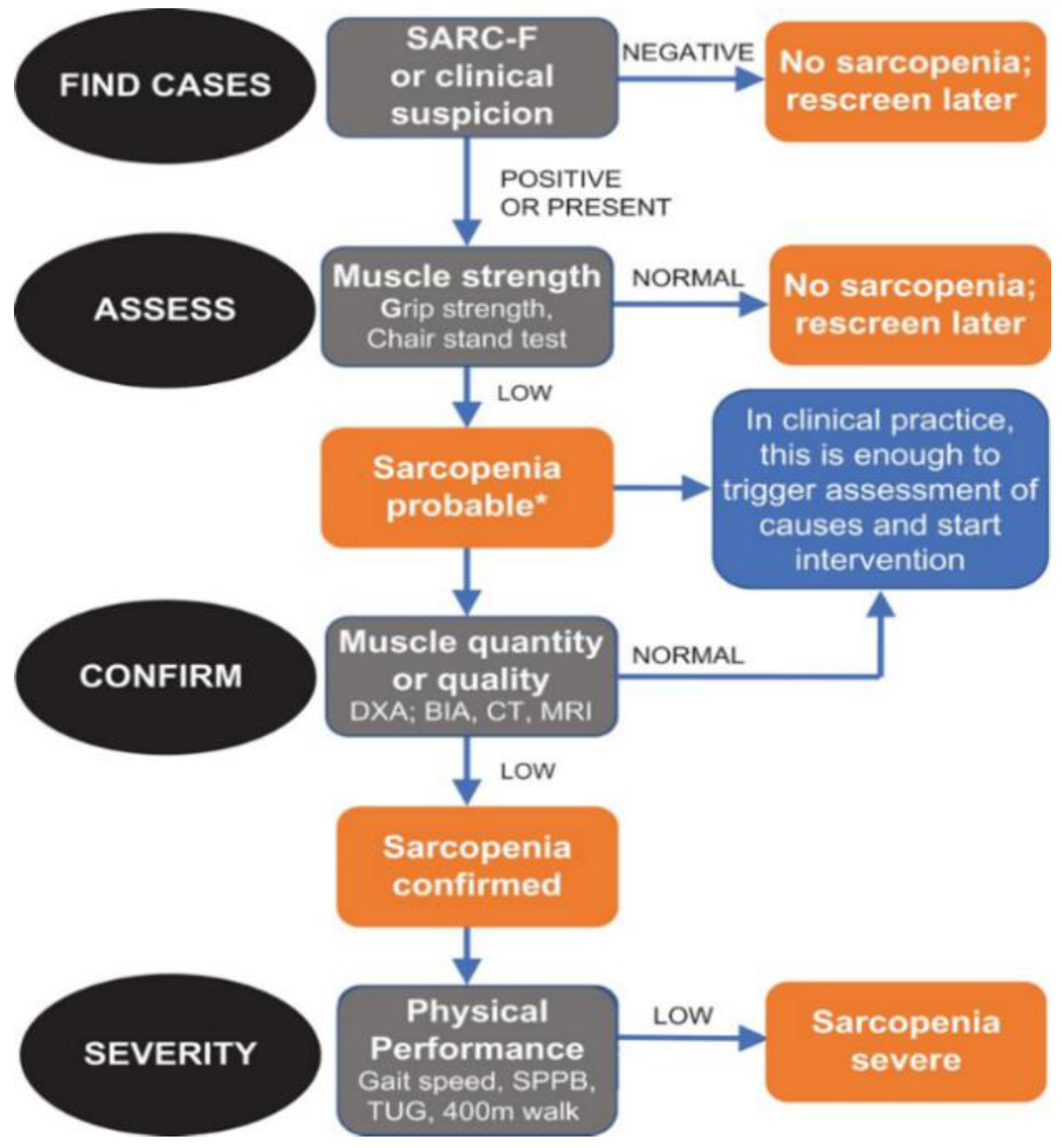 Biology 12 00884 g001