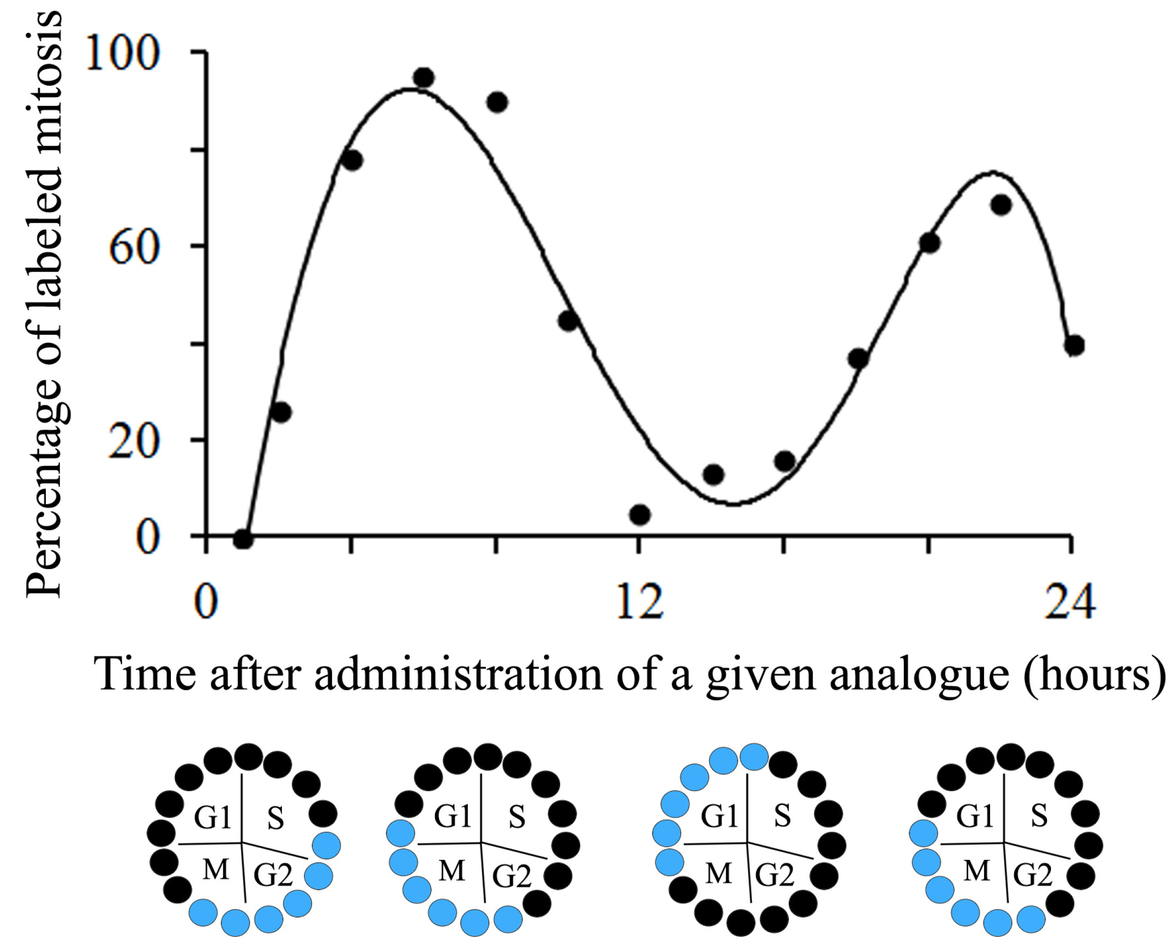 Biology 12 00885 g003