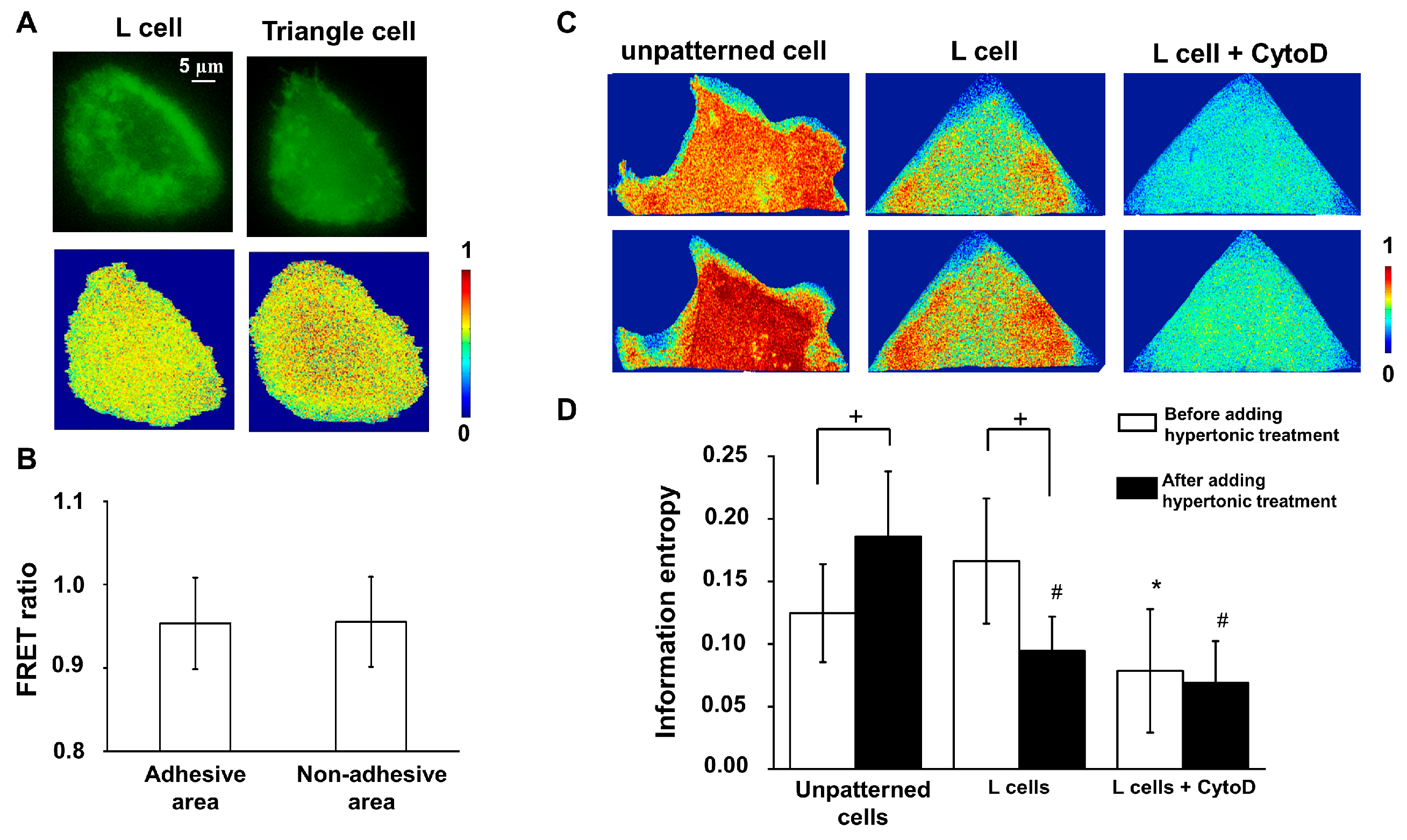 Biology 12 00889 g003 Biology 12 00889 g003