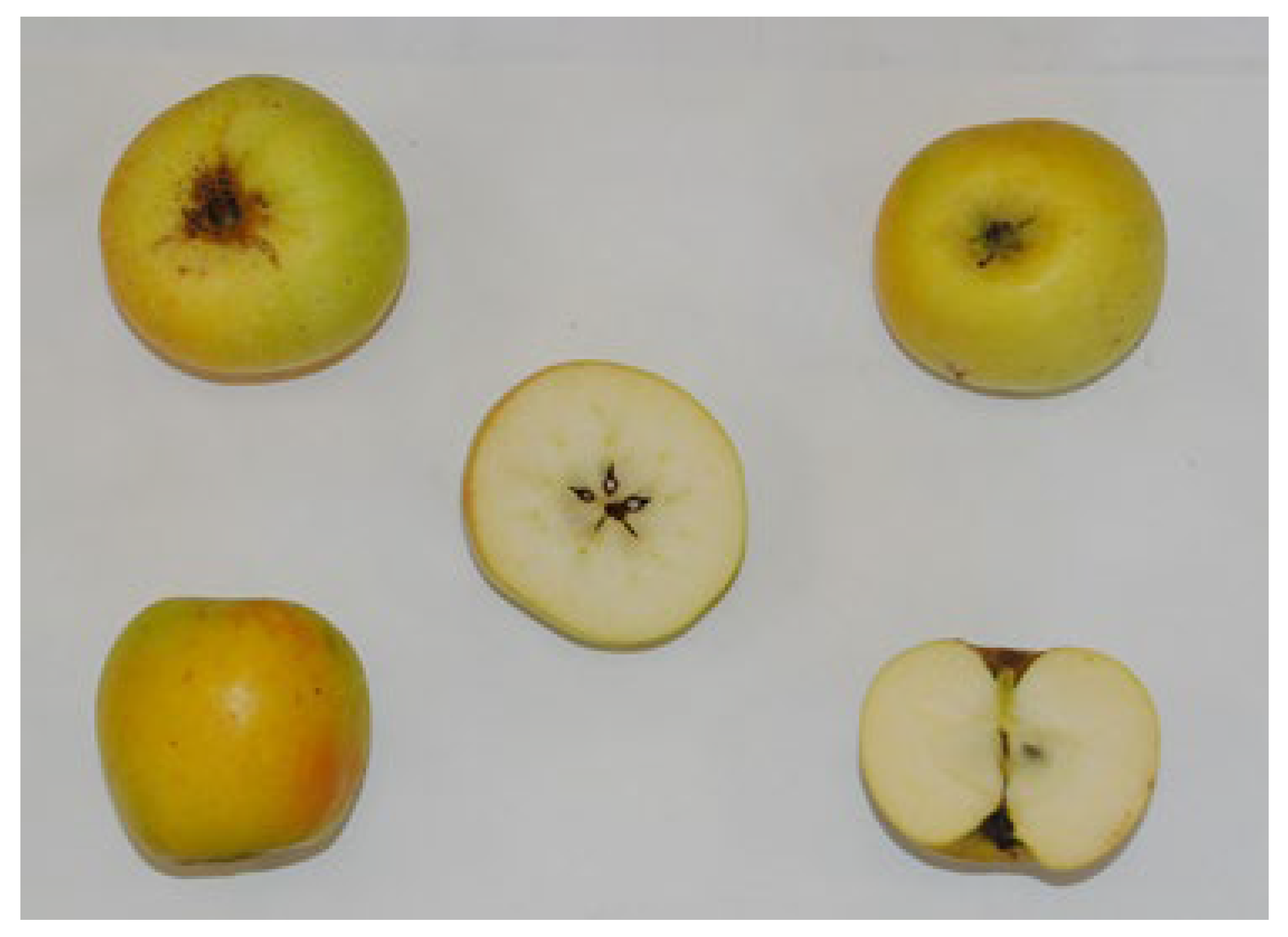 Biology 12 00891 g001 Biology 12 00891 g001