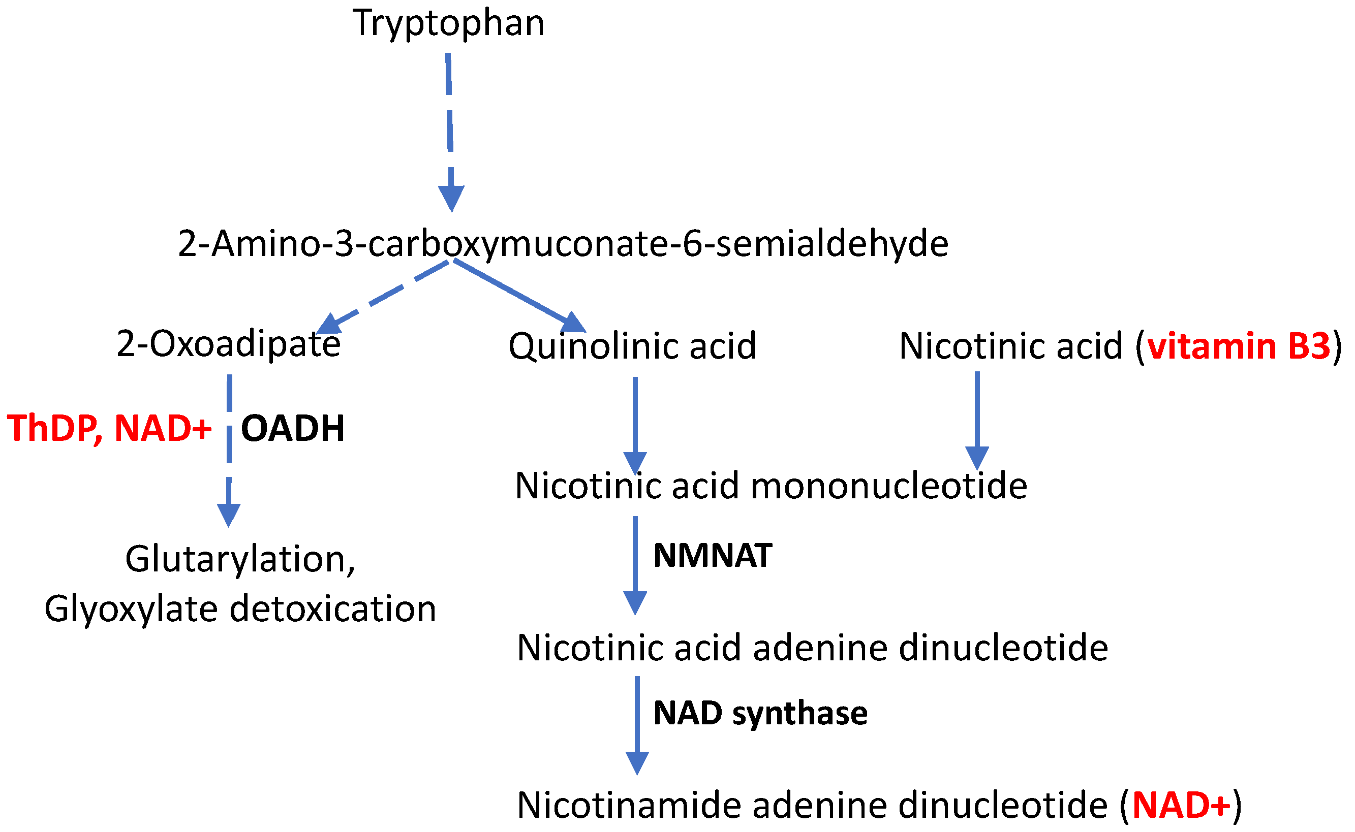 Biology 12 00897 g002 Biology 12 00897 g002