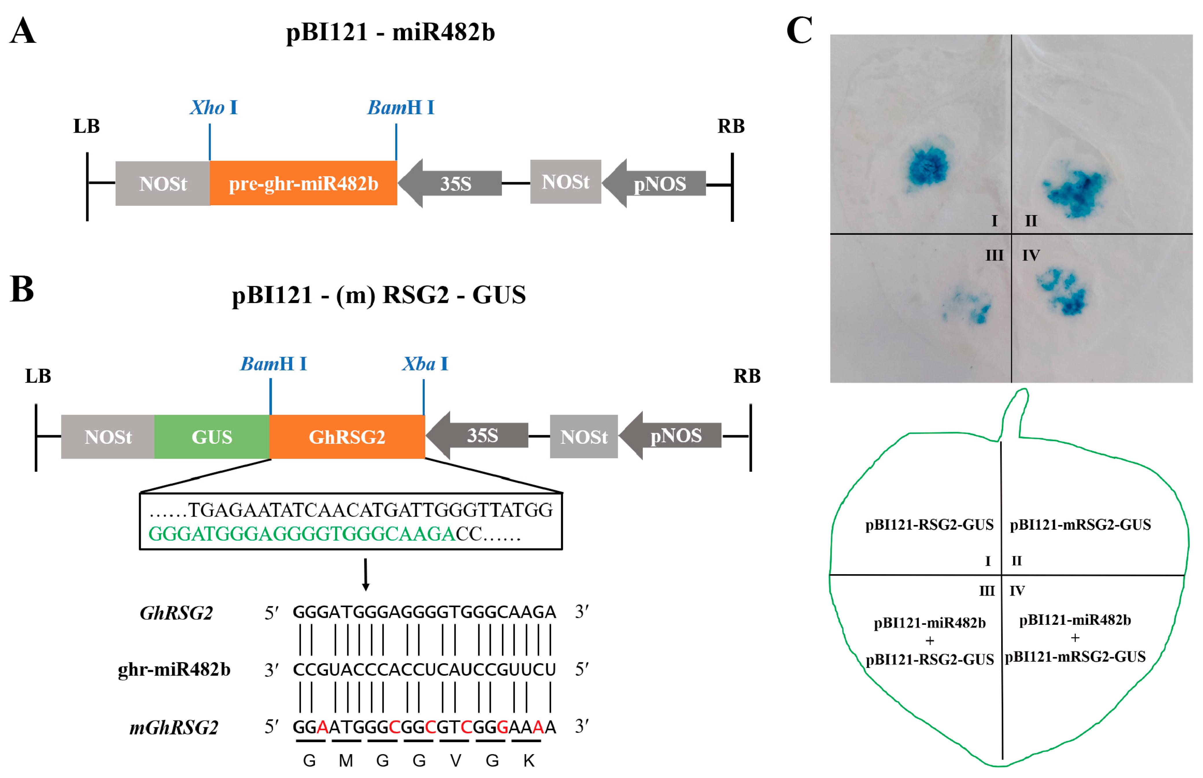 Biology 12 00898 g002 Biology 12 00898 g002