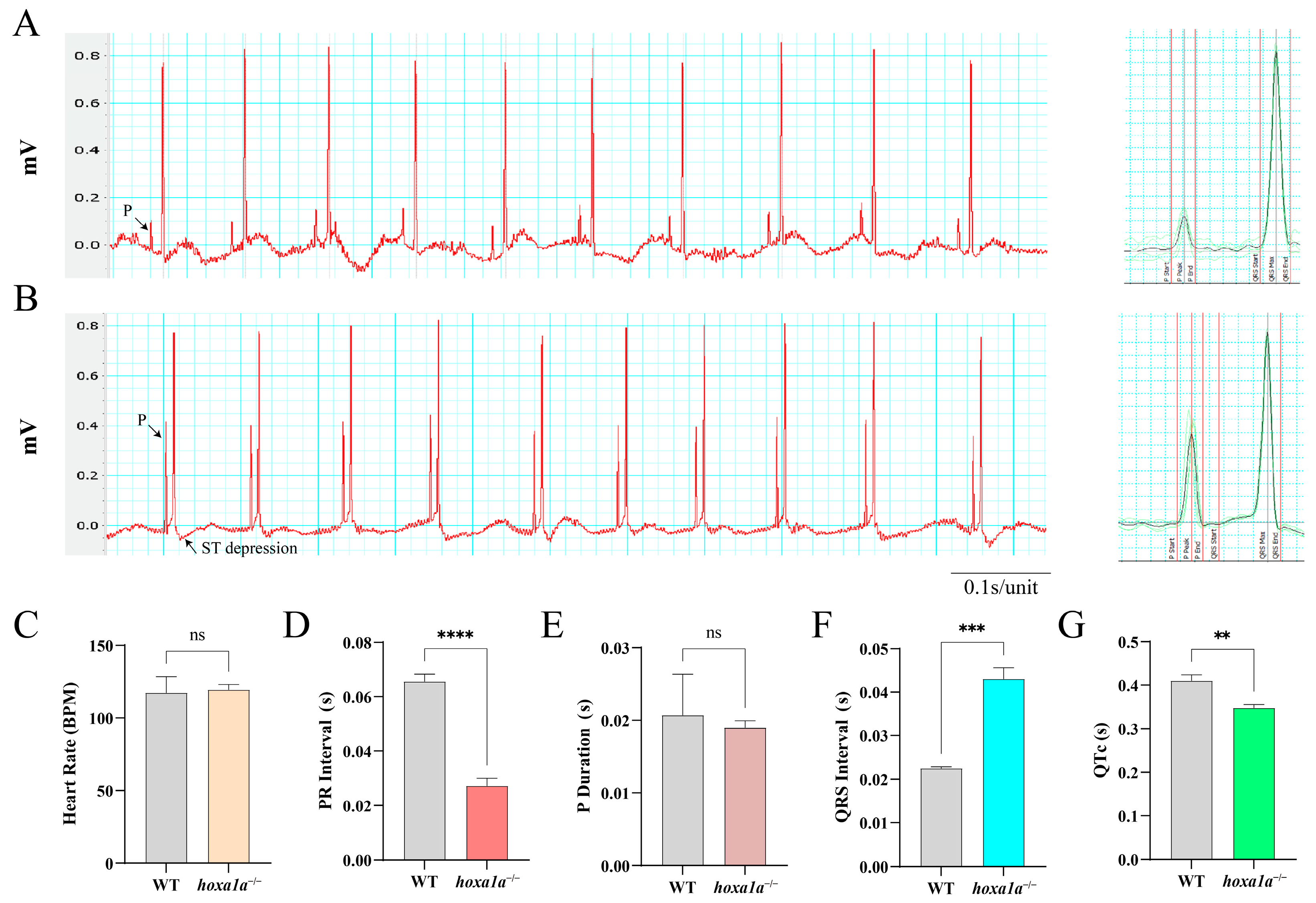 Biology 12 00899 g004 Biology 12 00899 g004