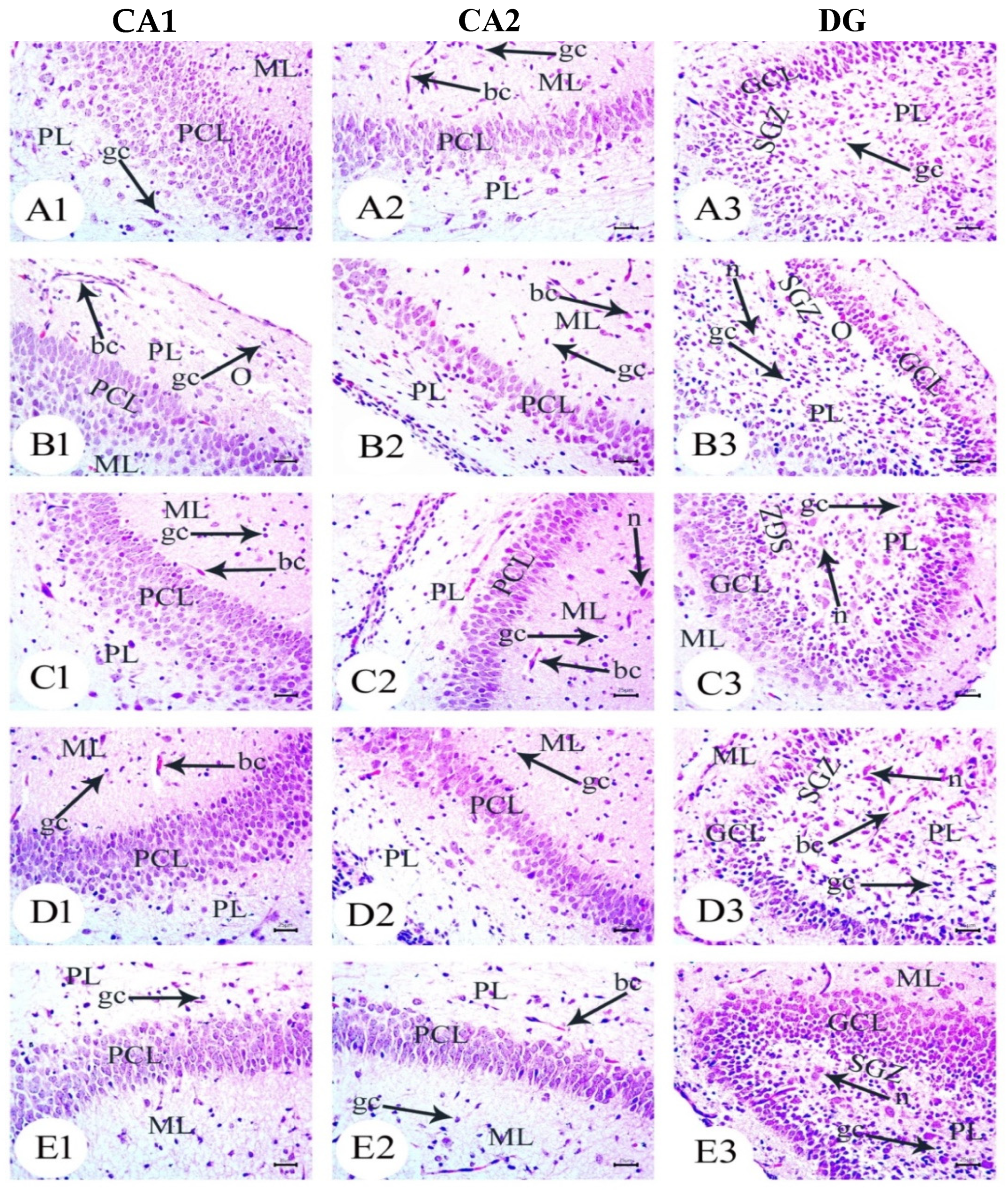 Biology 12 00905 g003