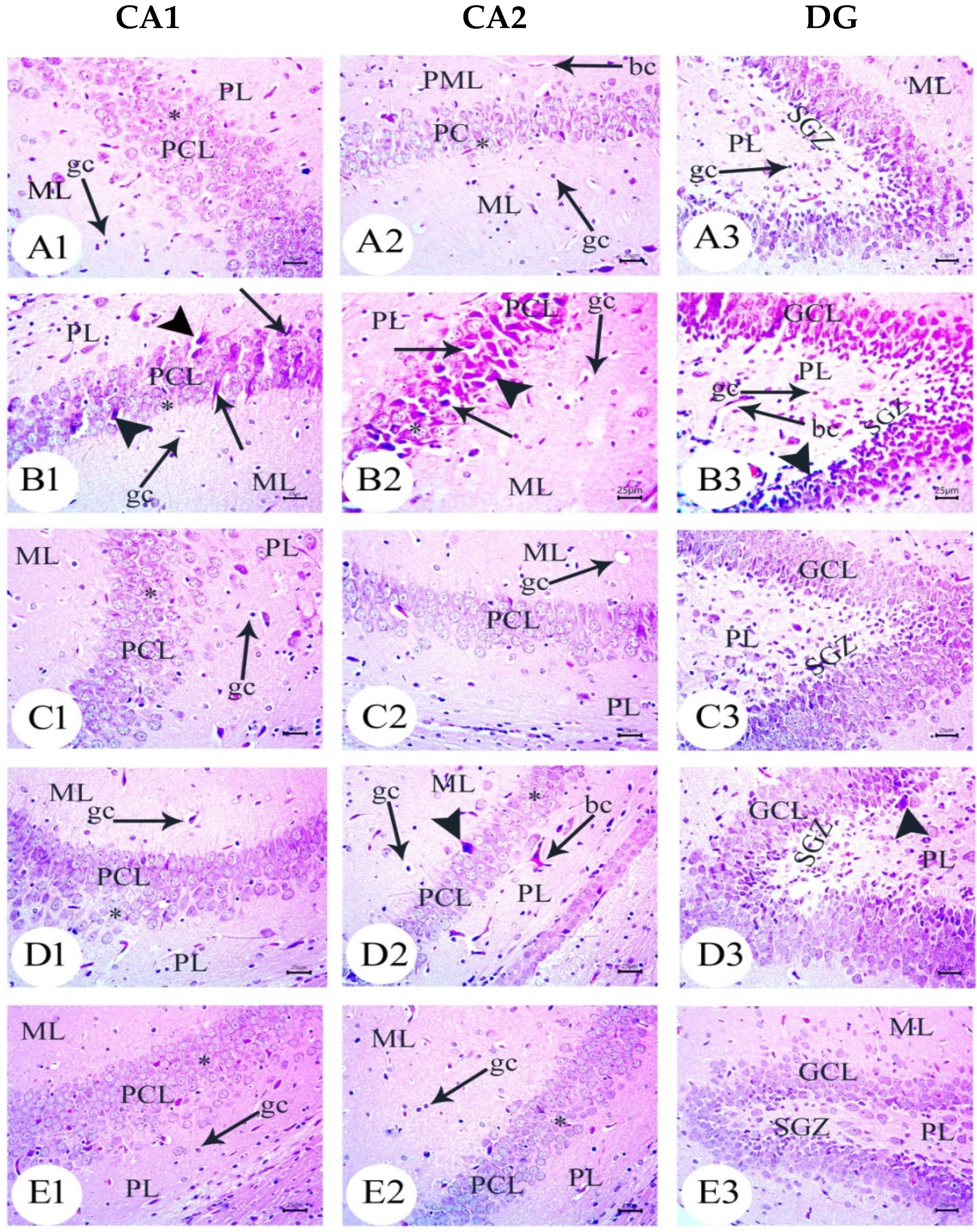 Biology 12 00905 g004