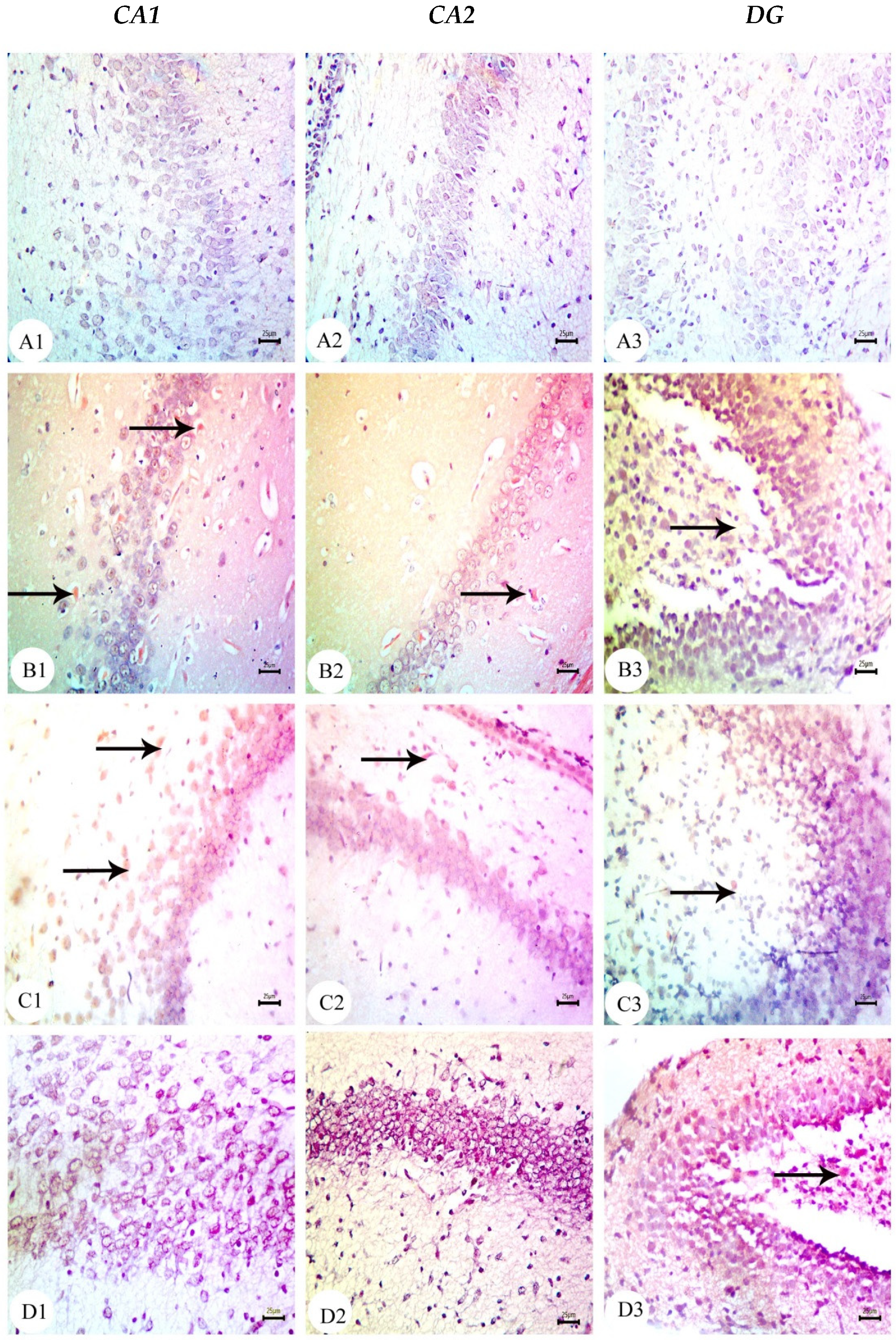 Biology 12 00905 g009