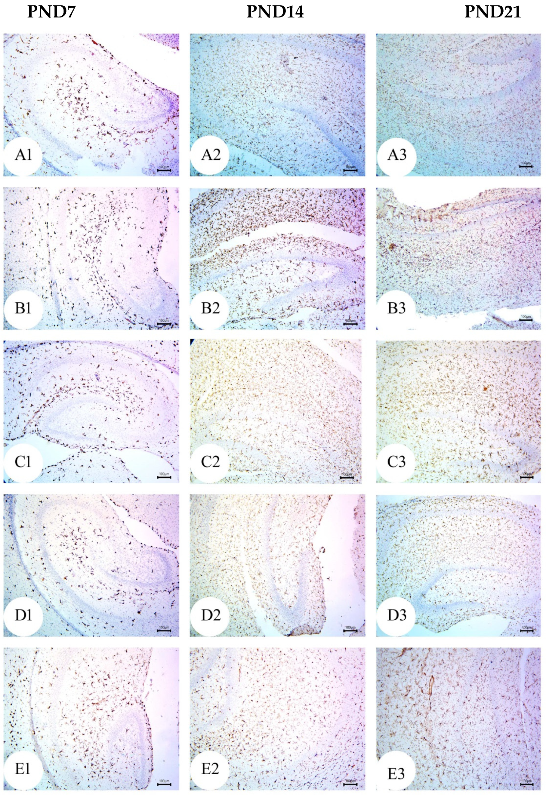 Biology 12 00905 g012