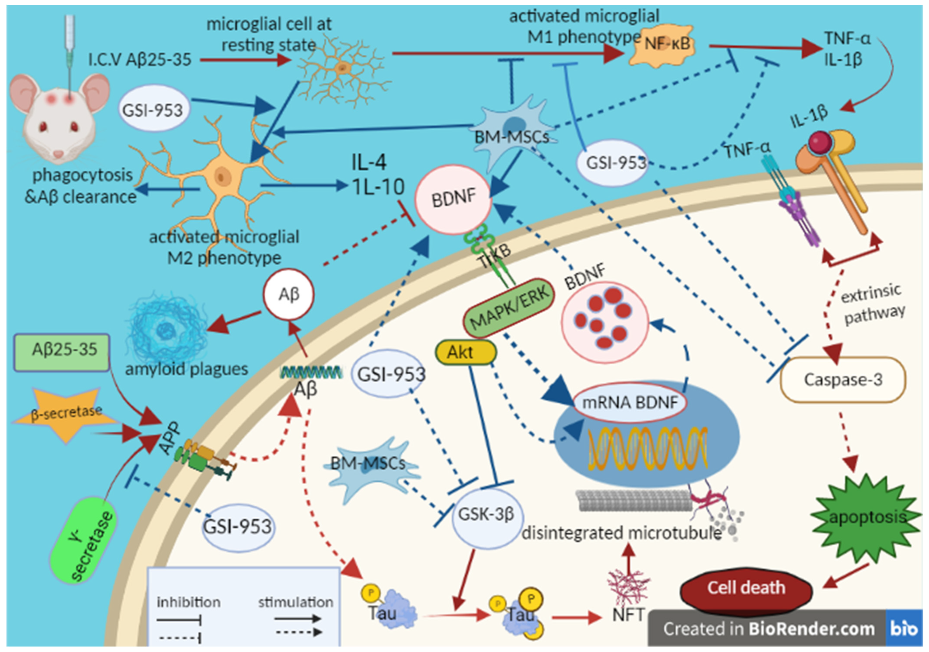 Biology 12 00905 g019