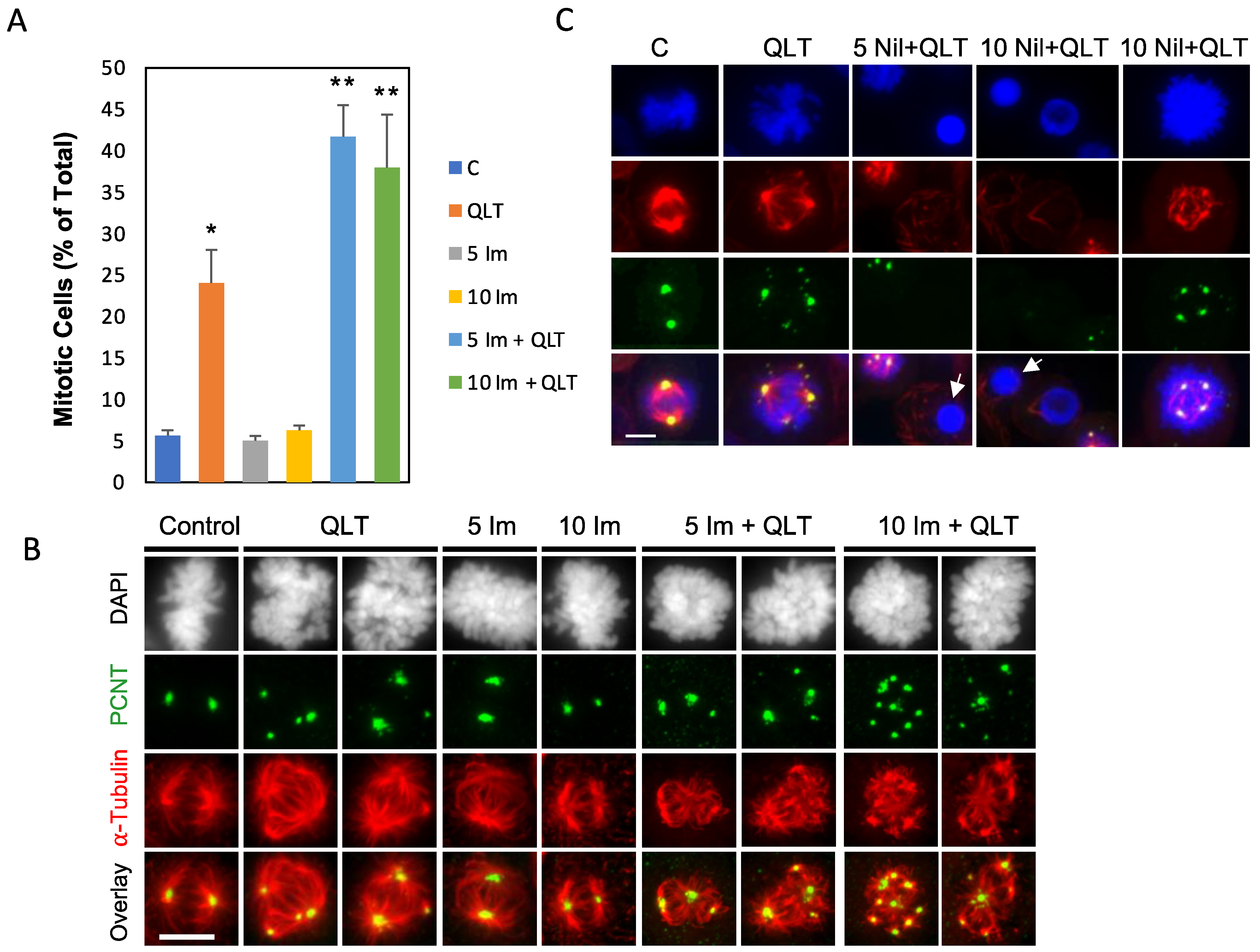 Biology 12 00906 g003