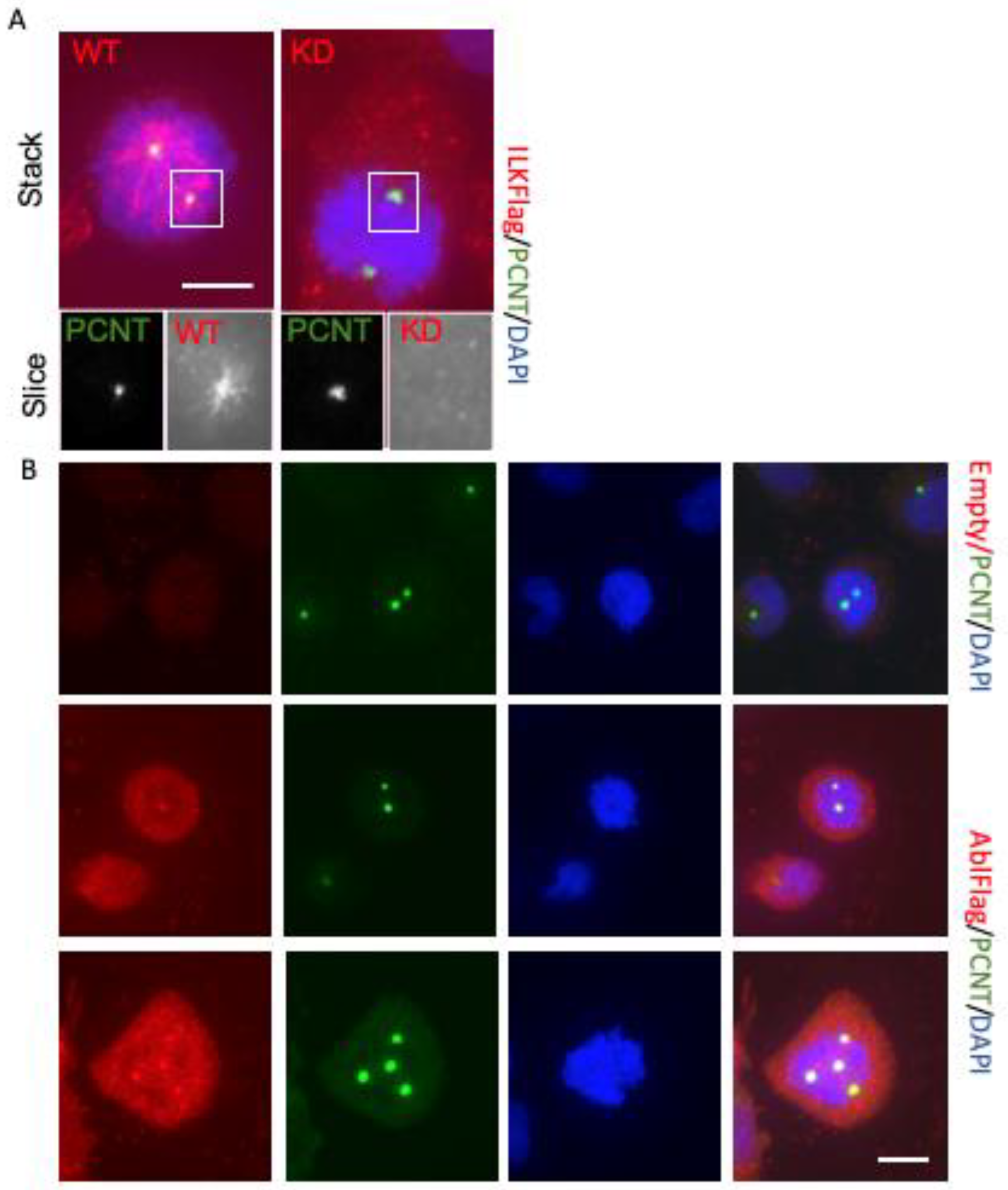 Biology 12 00906 g004