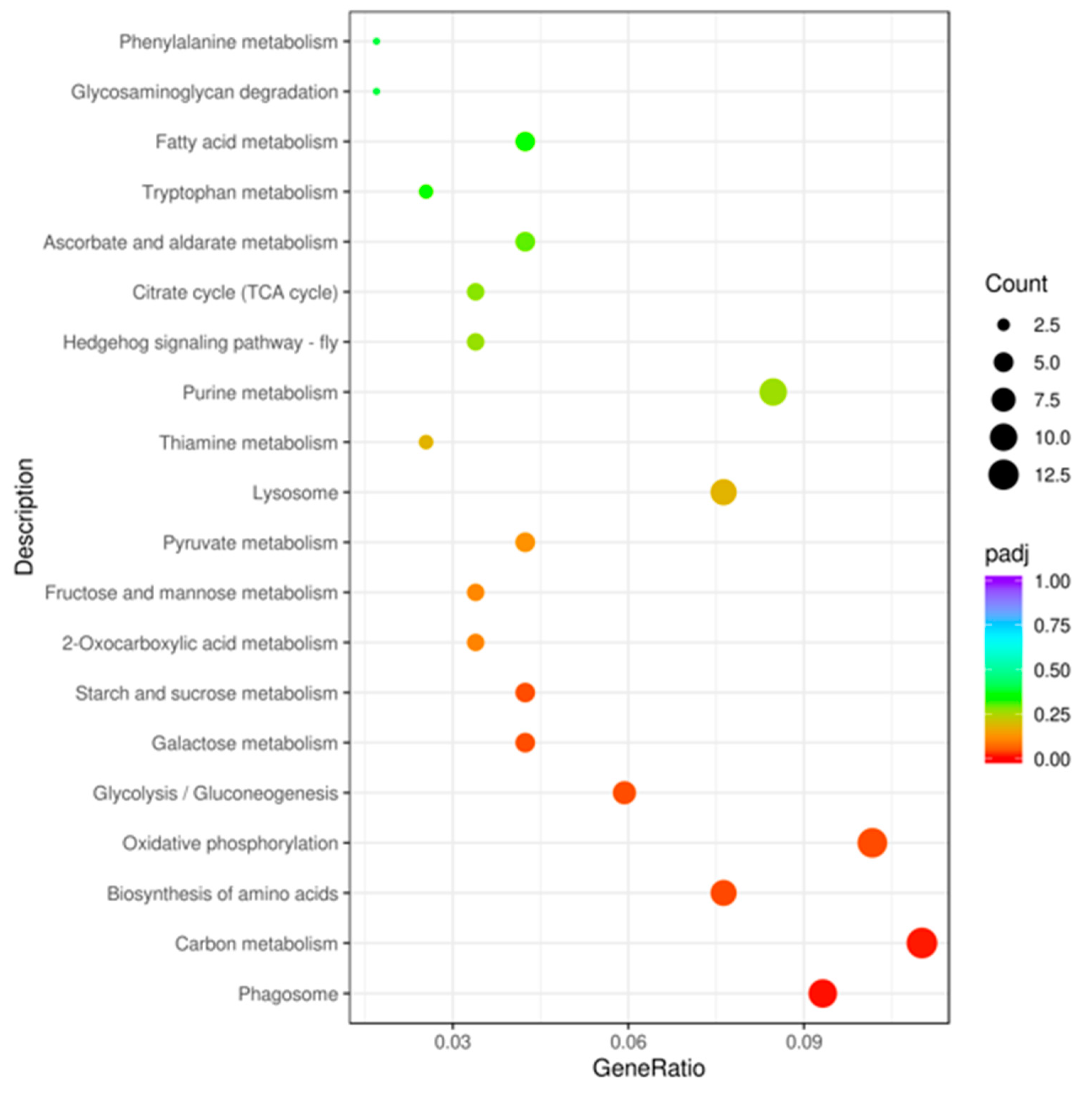 Biology 12 00908 g004 Biology 12 00908 g004