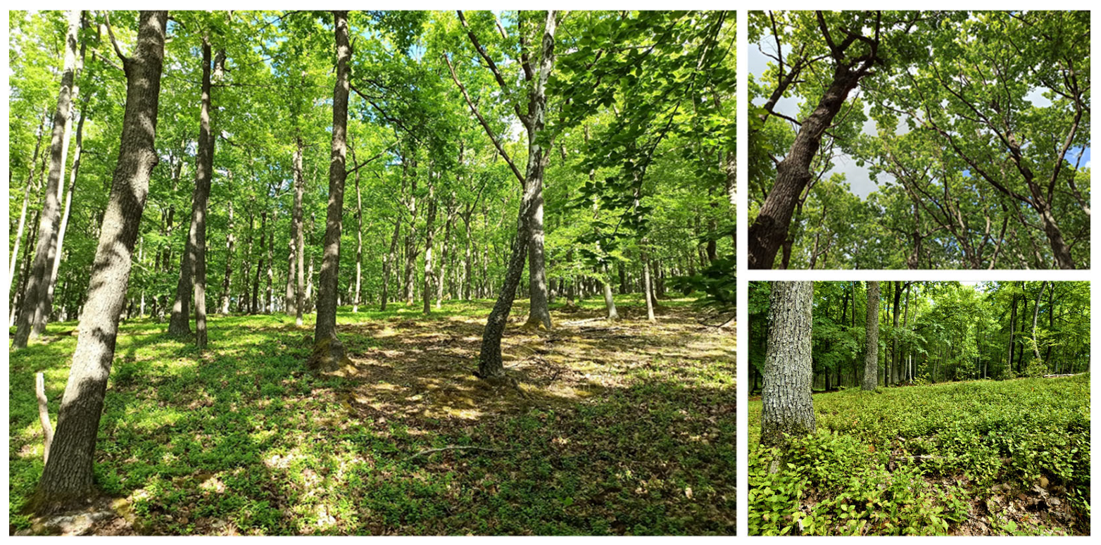 Biology 12 00910 g002 Biology 12 00910 g002