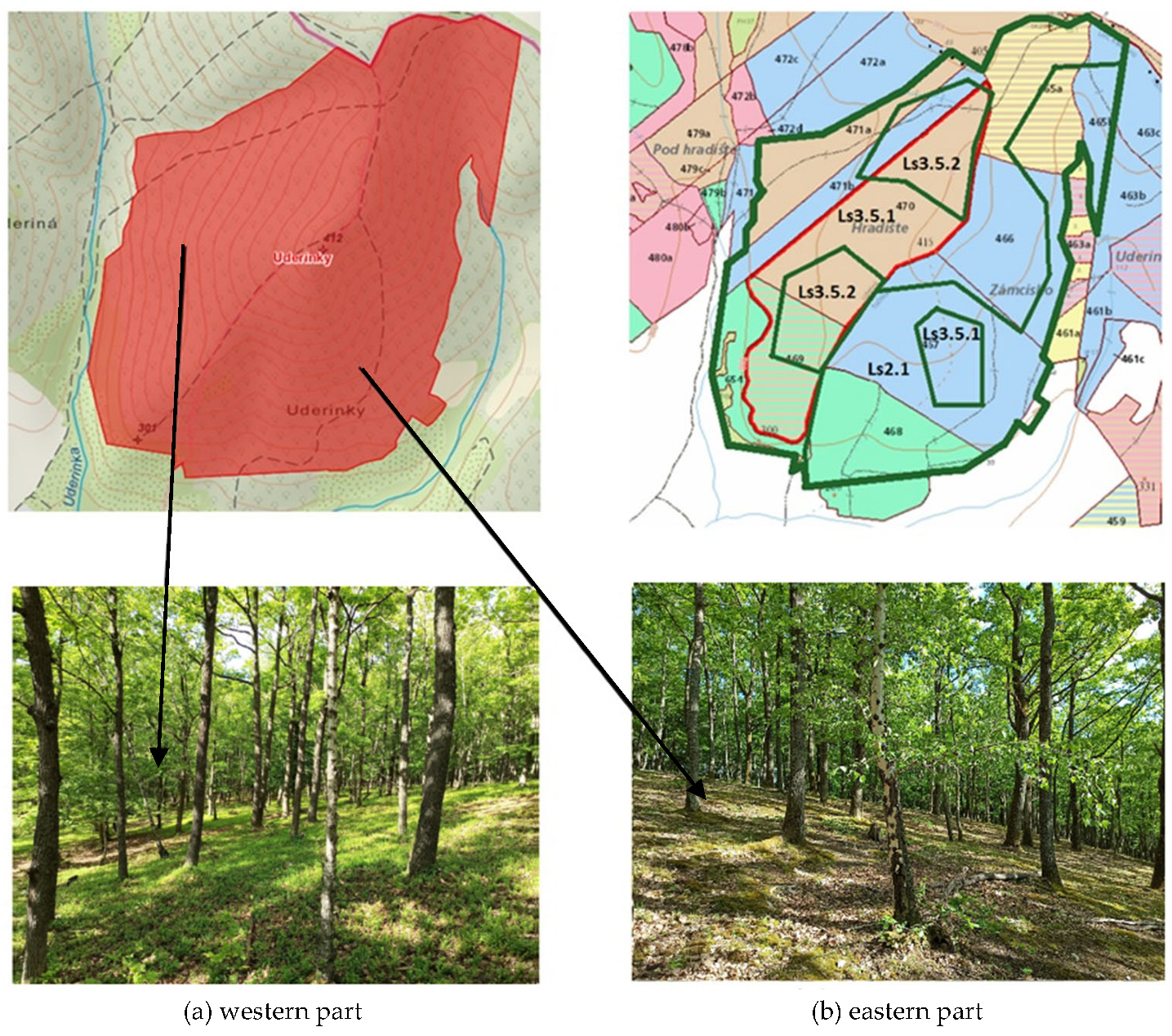 Biology 12 00910 g007 Biology 12 00910 g007