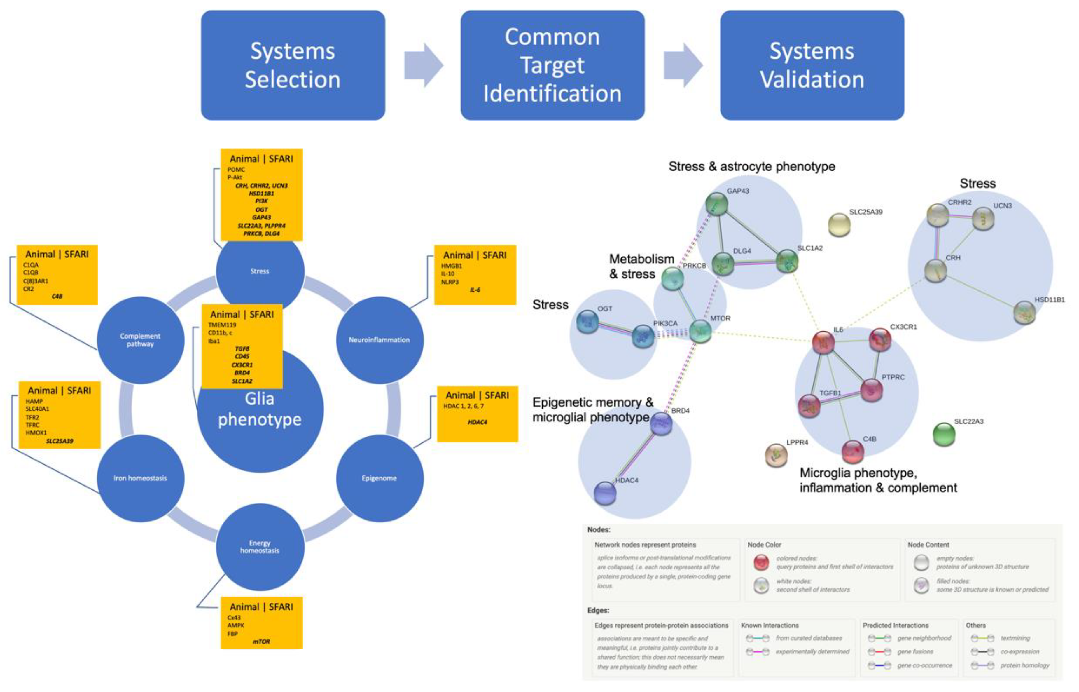Biology 12 00914 g001 Biology 12 00914 g001