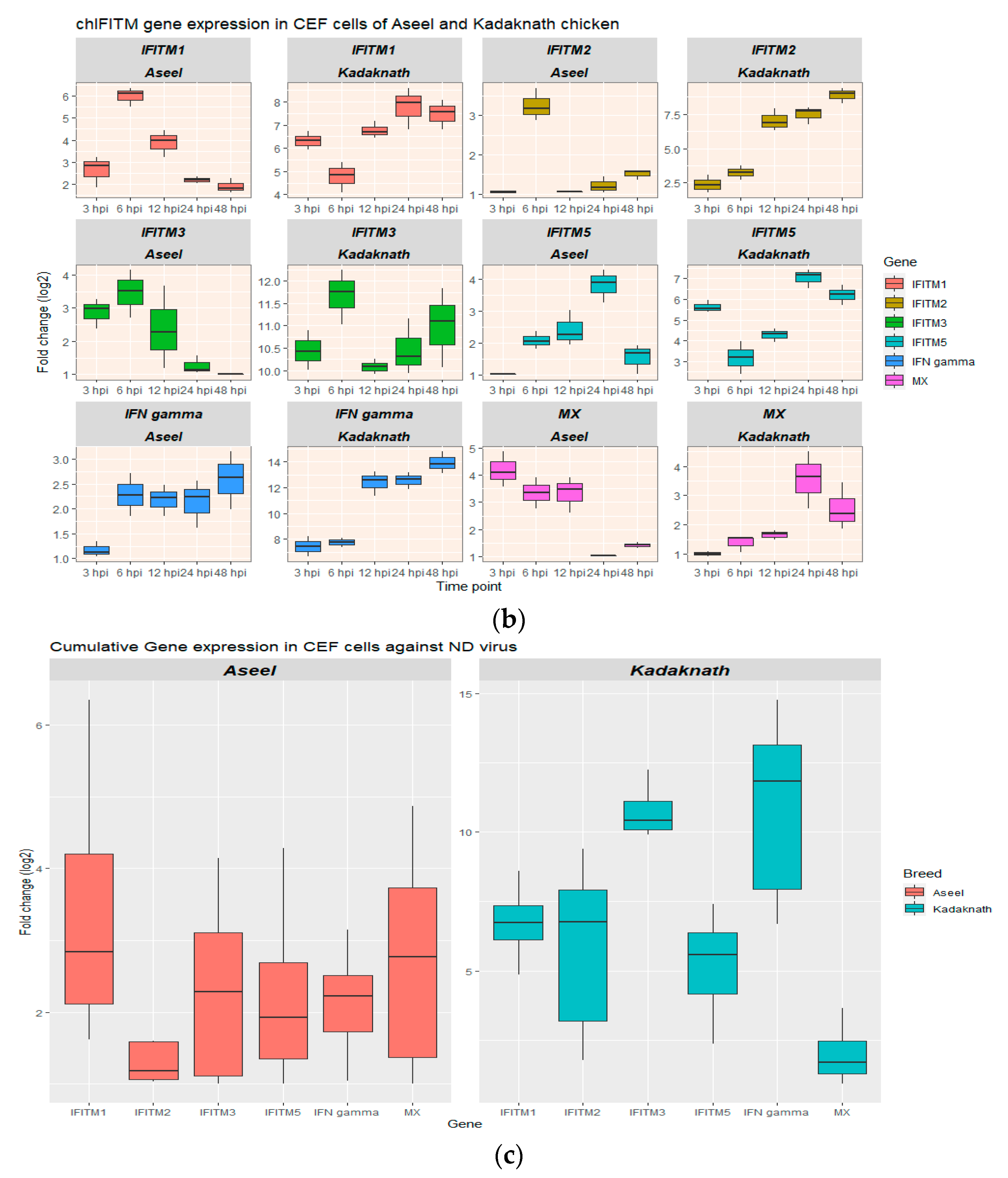 Biology 12 00919 g004b Biology 12 00919 g004b