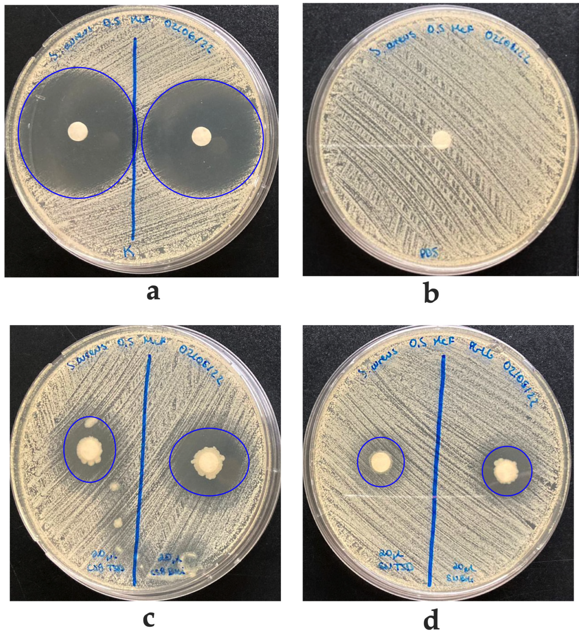 Biology 12 00920 g003 Biology 12 00920 g003
