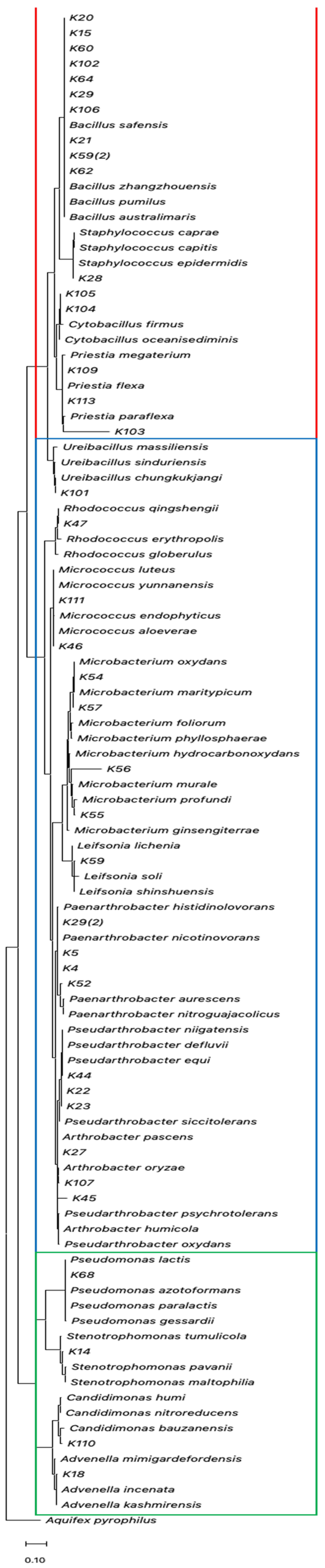 Biology 12 00920 g004 Biology 12 00920 g004