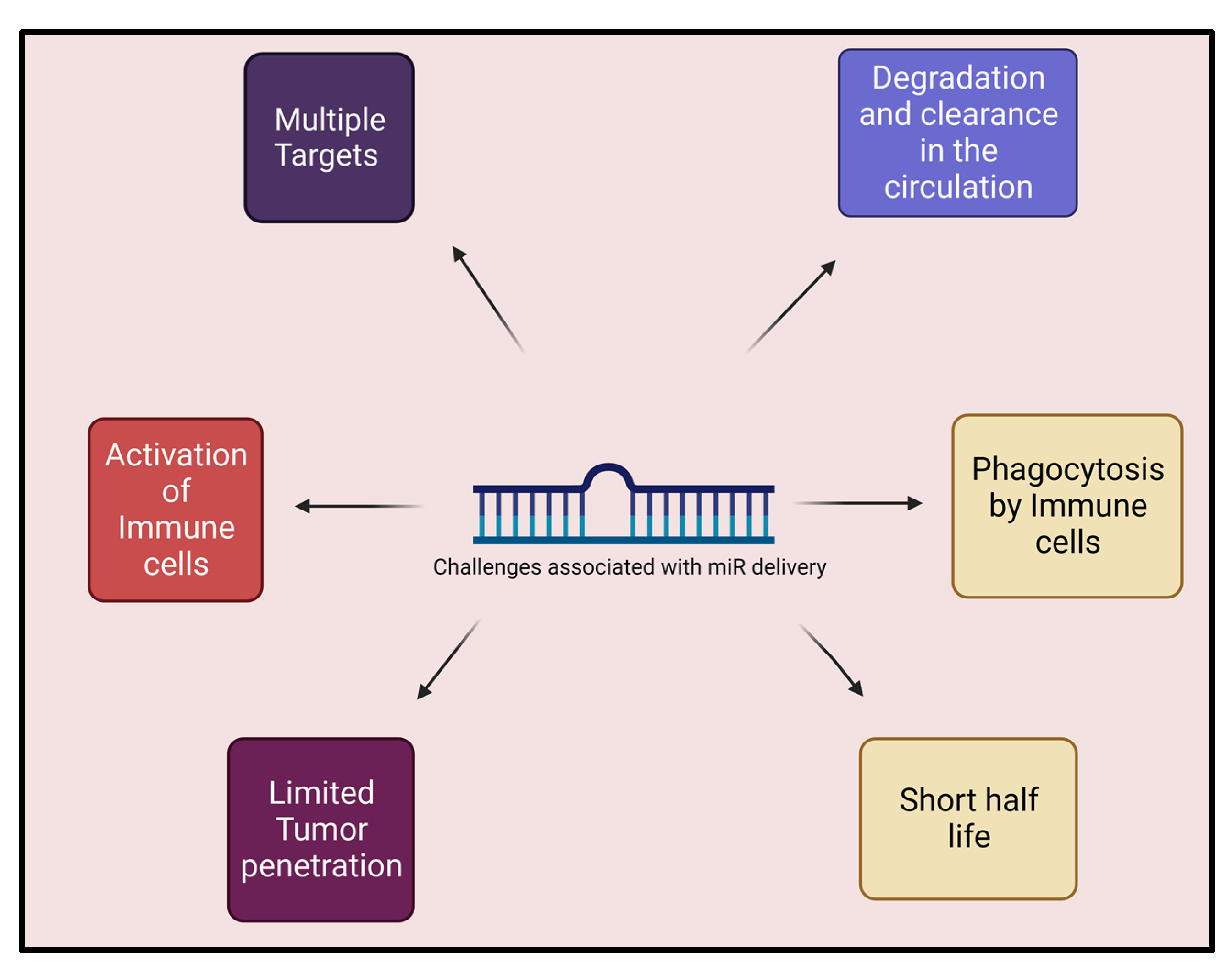 Biology 12 00922 g002 Biology 12 00922 g002