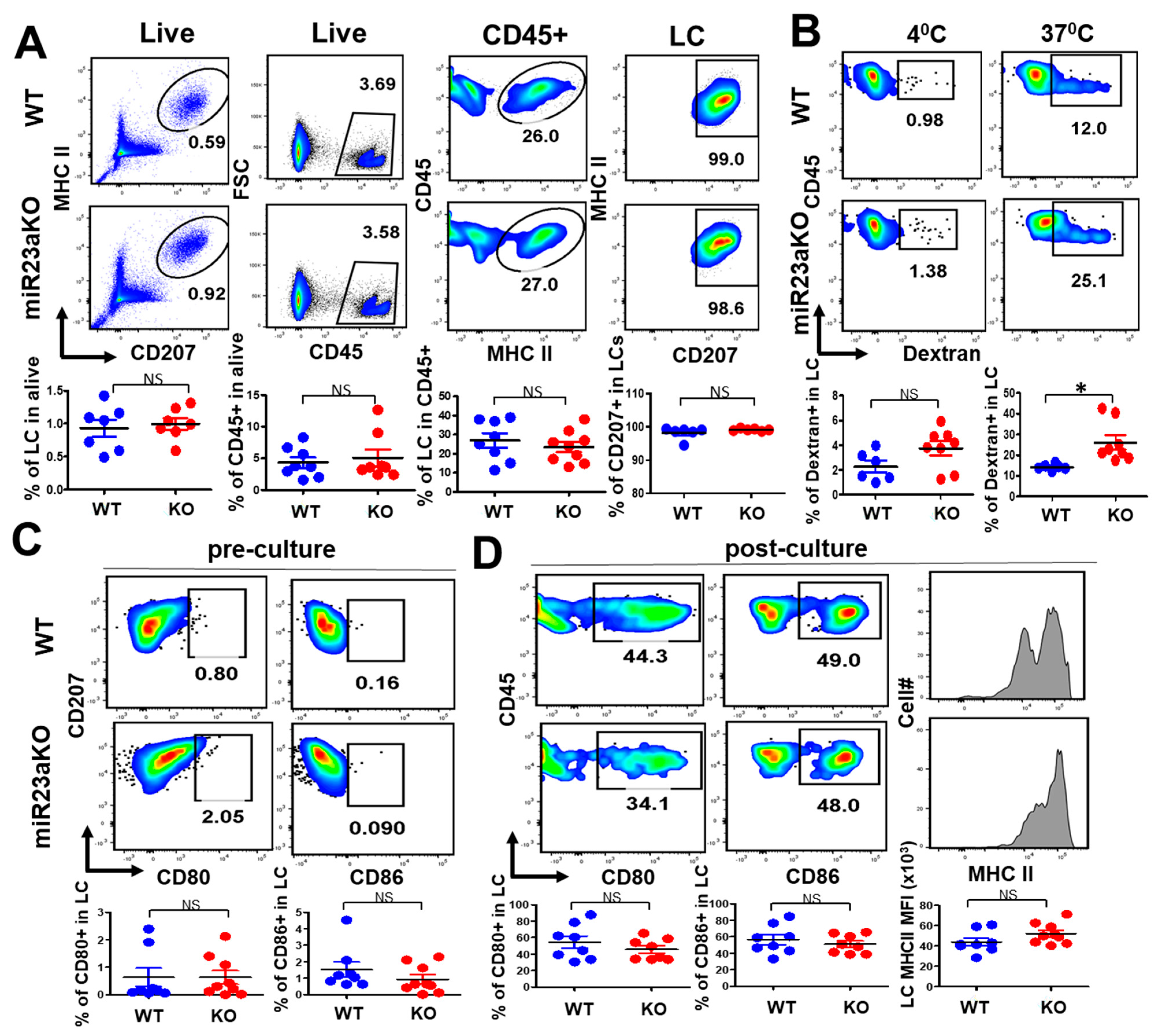 Biology 12 00925 g002