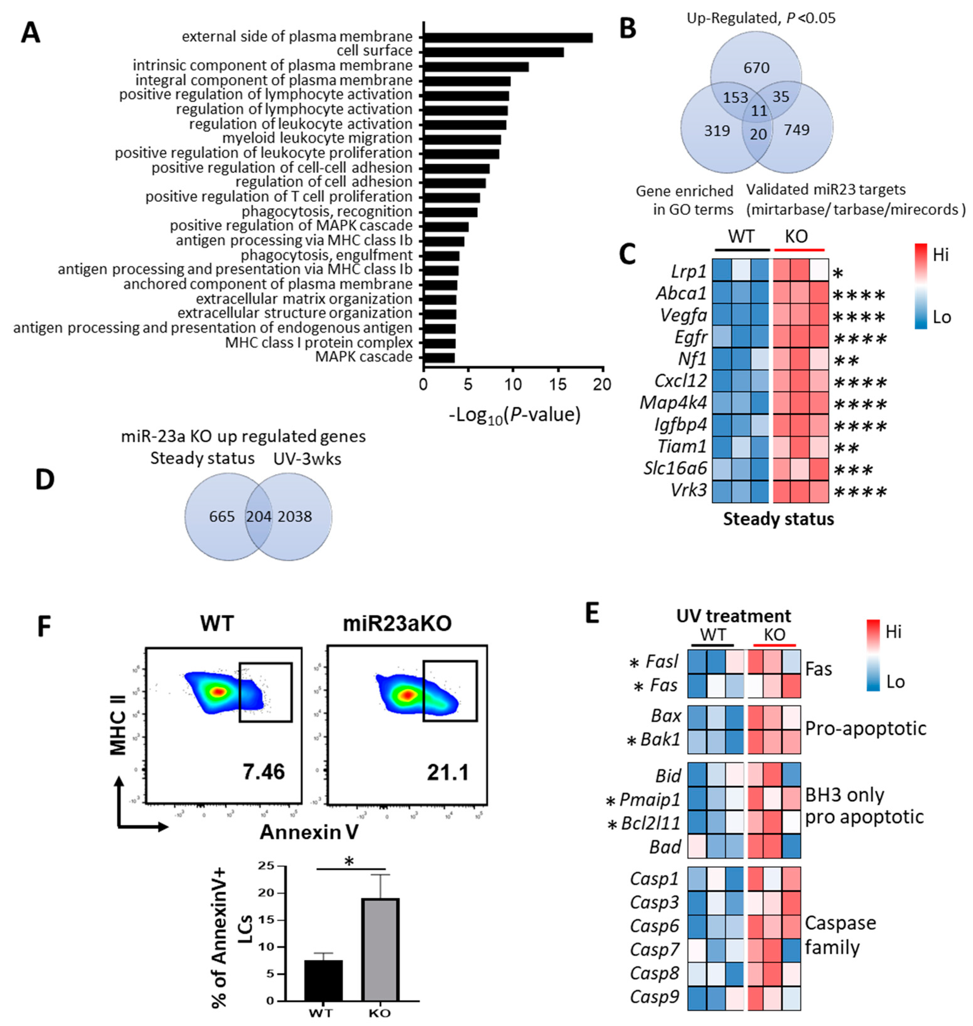Biology 12 00925 g004