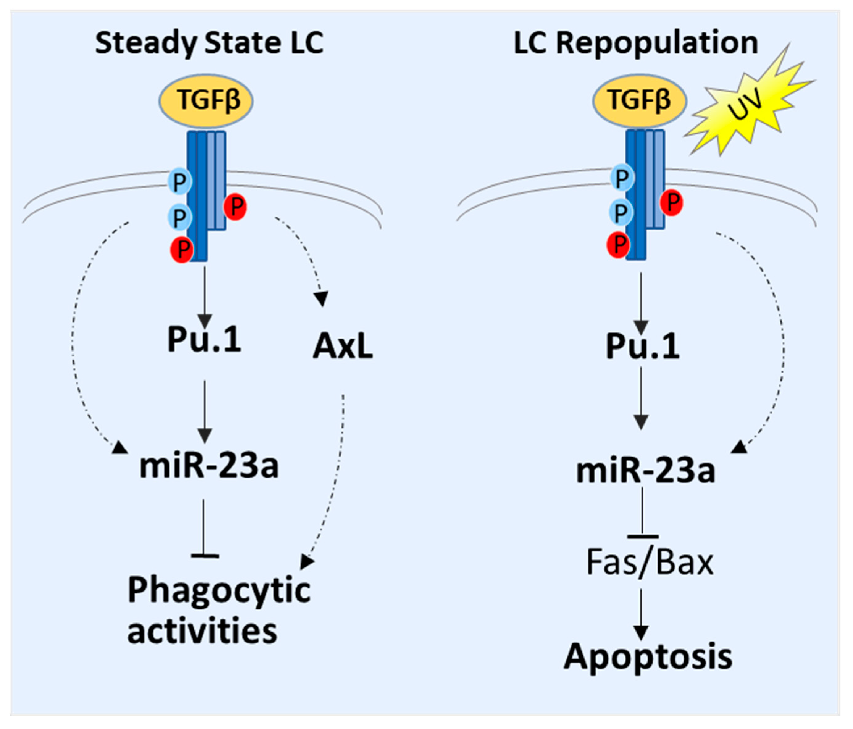 Biology 12 00925 g005