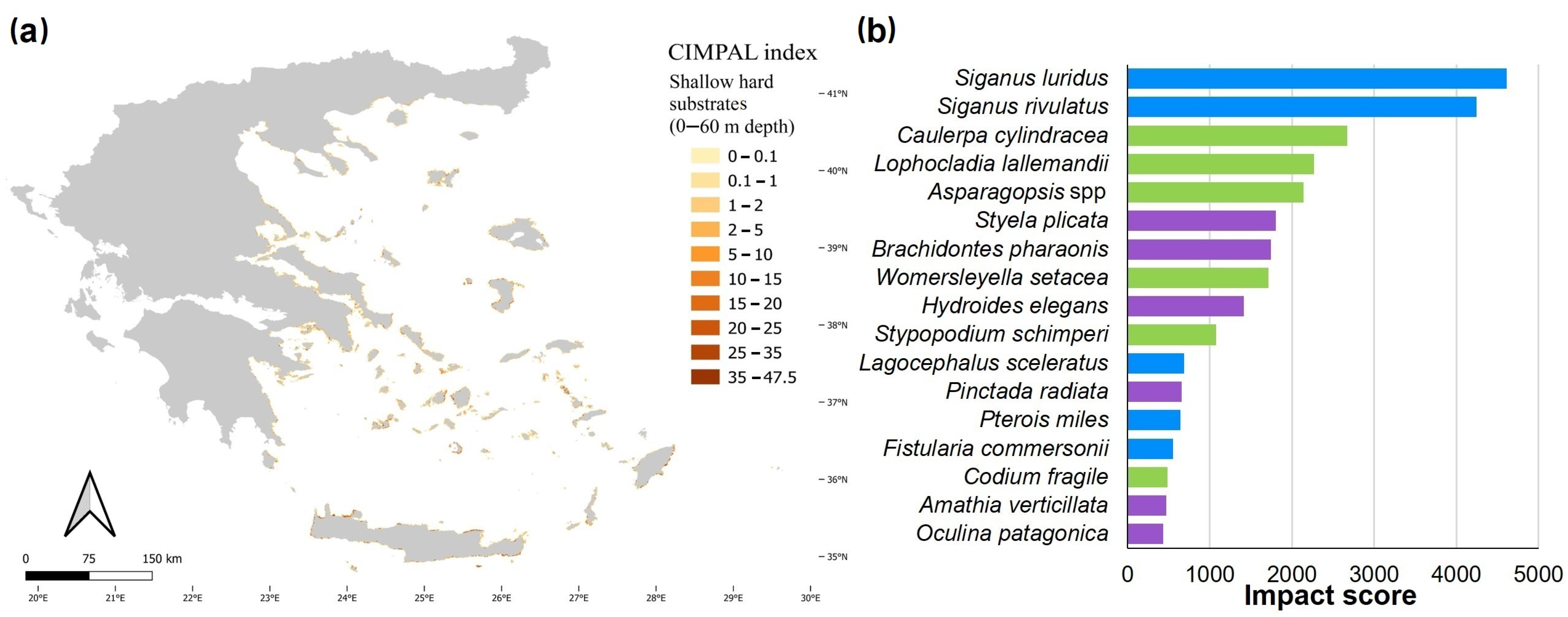 Biology 12 00933 g004 Biology 12 00933 g004