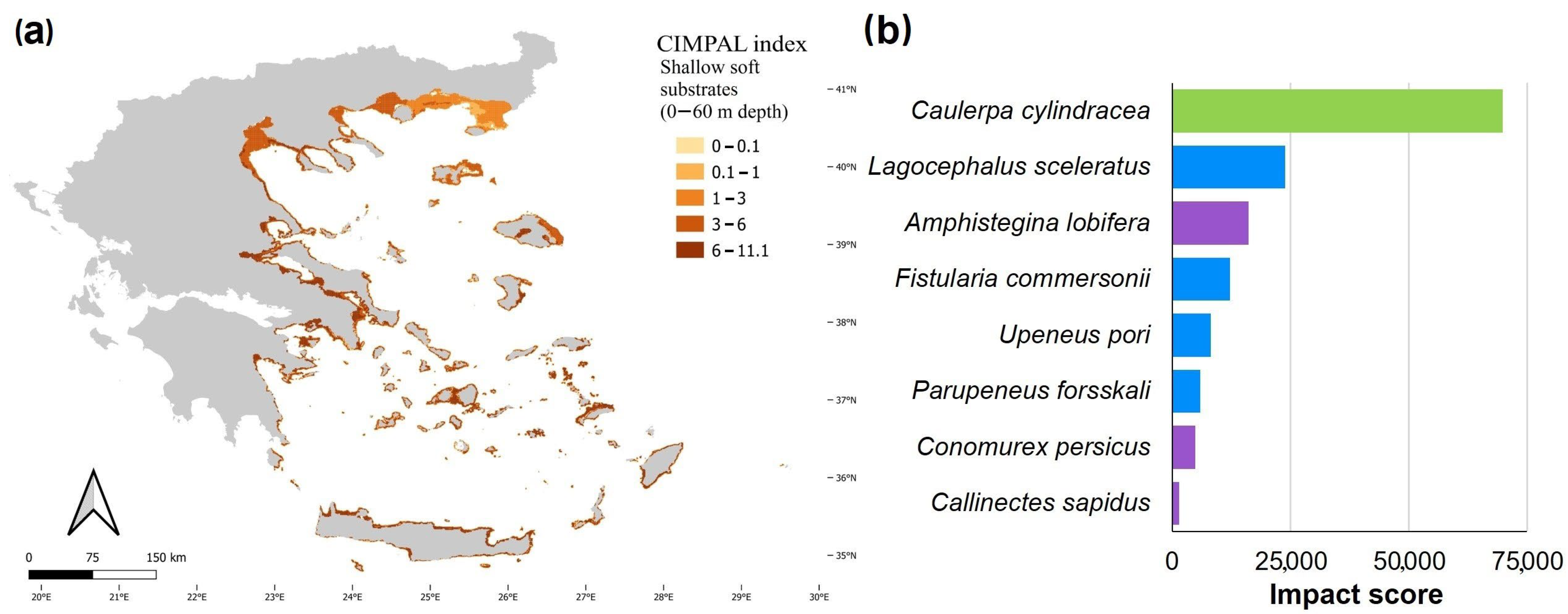 Biology 12 00933 g005 Biology 12 00933 g005