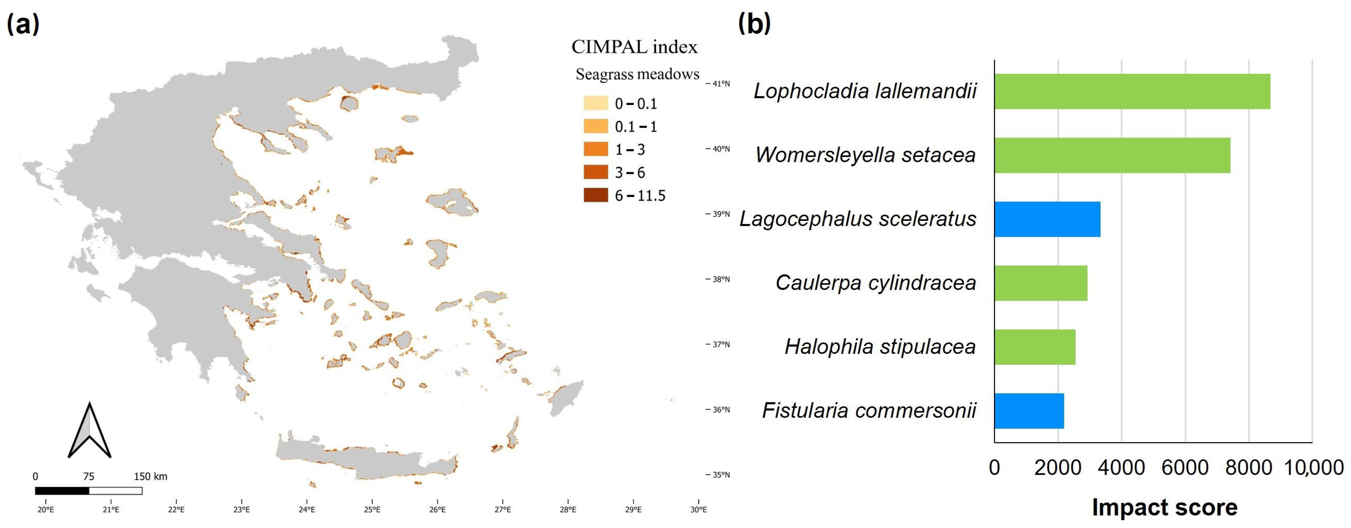 Biology 12 00933 g006 Biology 12 00933 g006