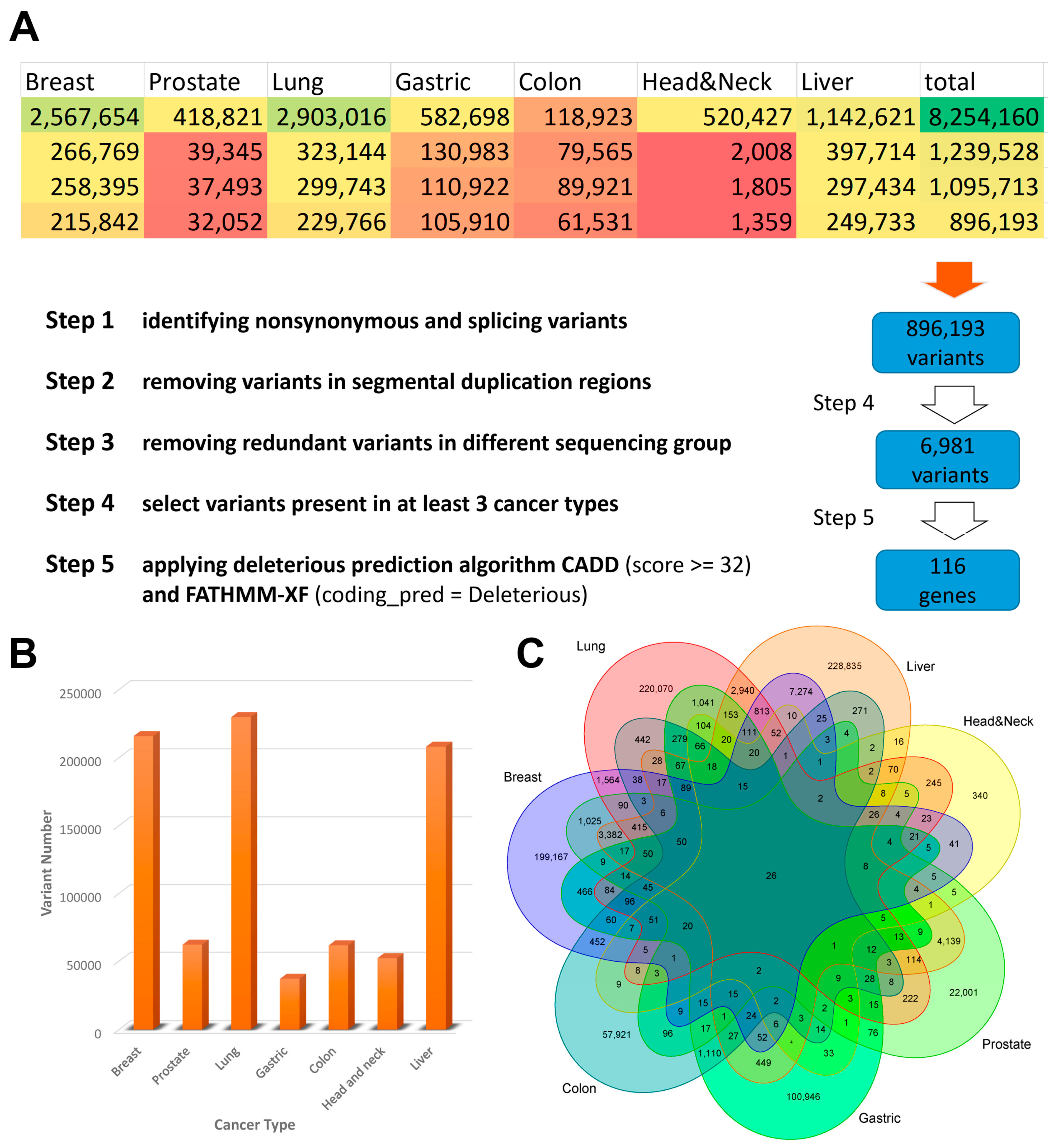 Biology 12 00934 g002