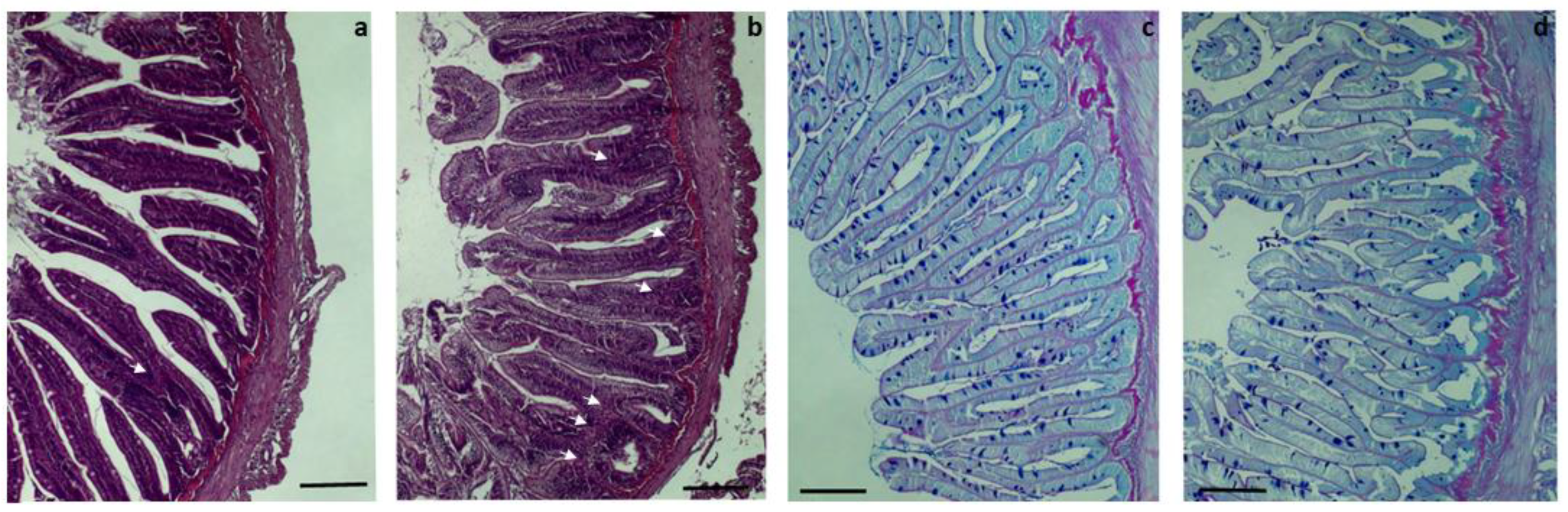 Biology 12 00937 g002 Biology 12 00937 g002