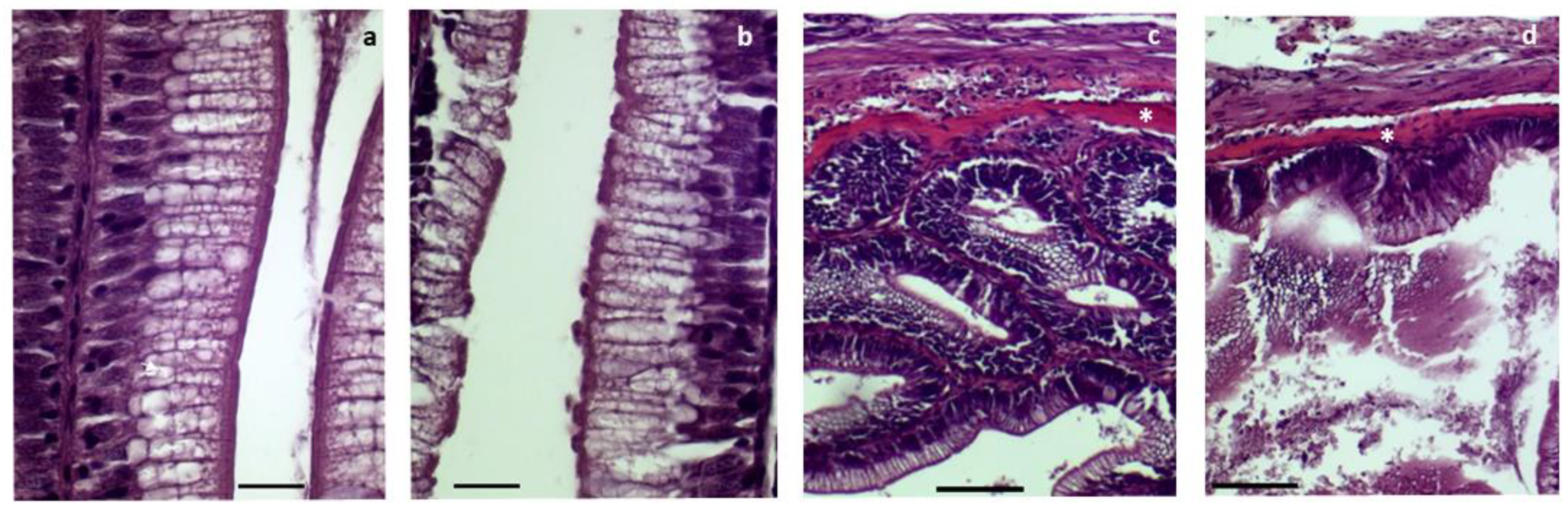 Biology 12 00937 g004 Biology 12 00937 g004