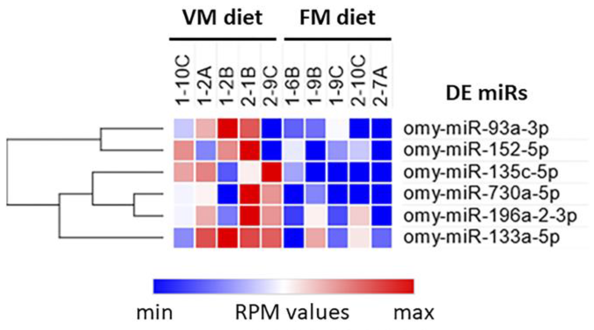 Biology 12 00937 g006 Biology 12 00937 g006